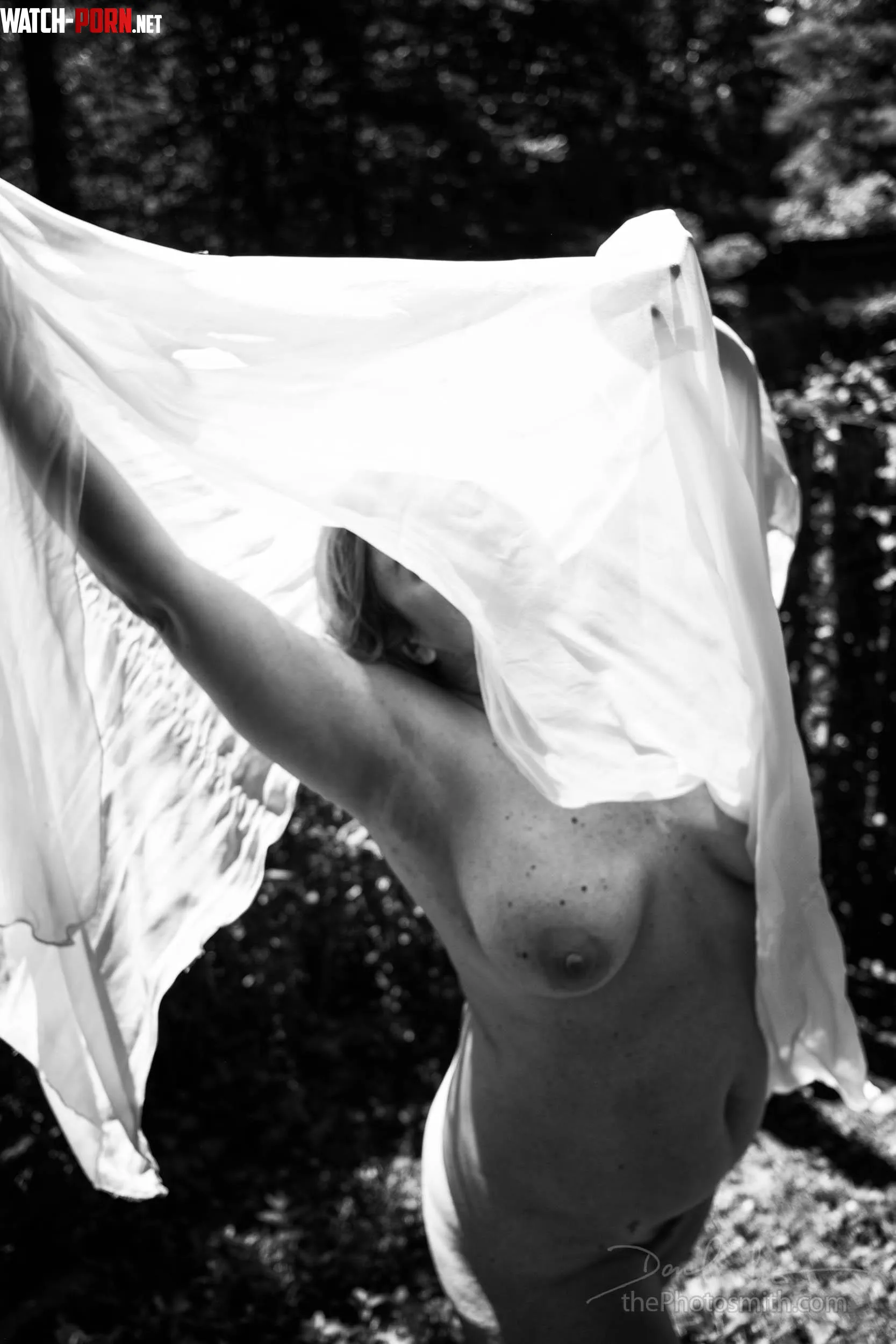 gossamer | Alluring by The PhotoSmith by the-photosmith