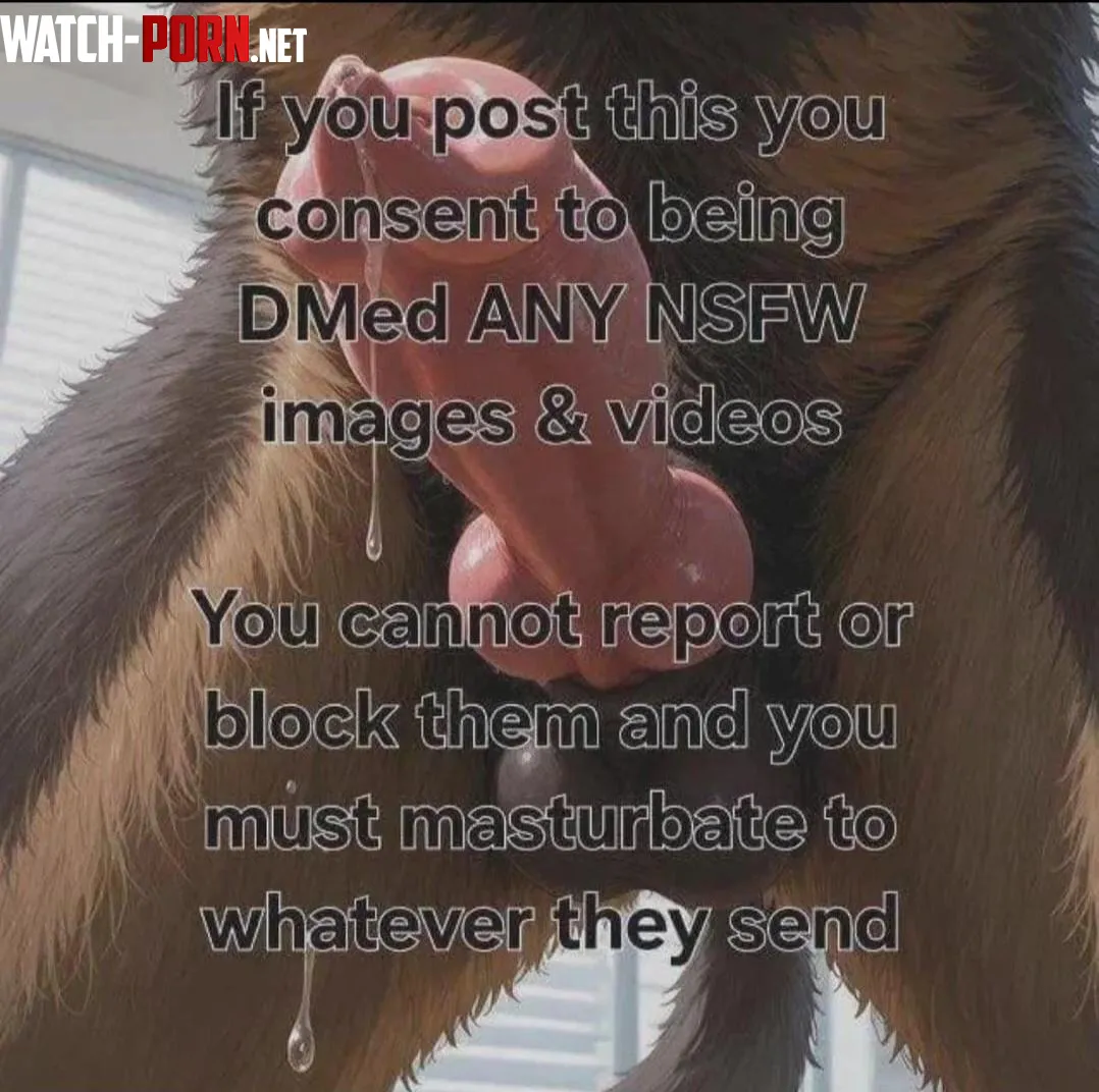 Send plz by Direwolfofhousestark