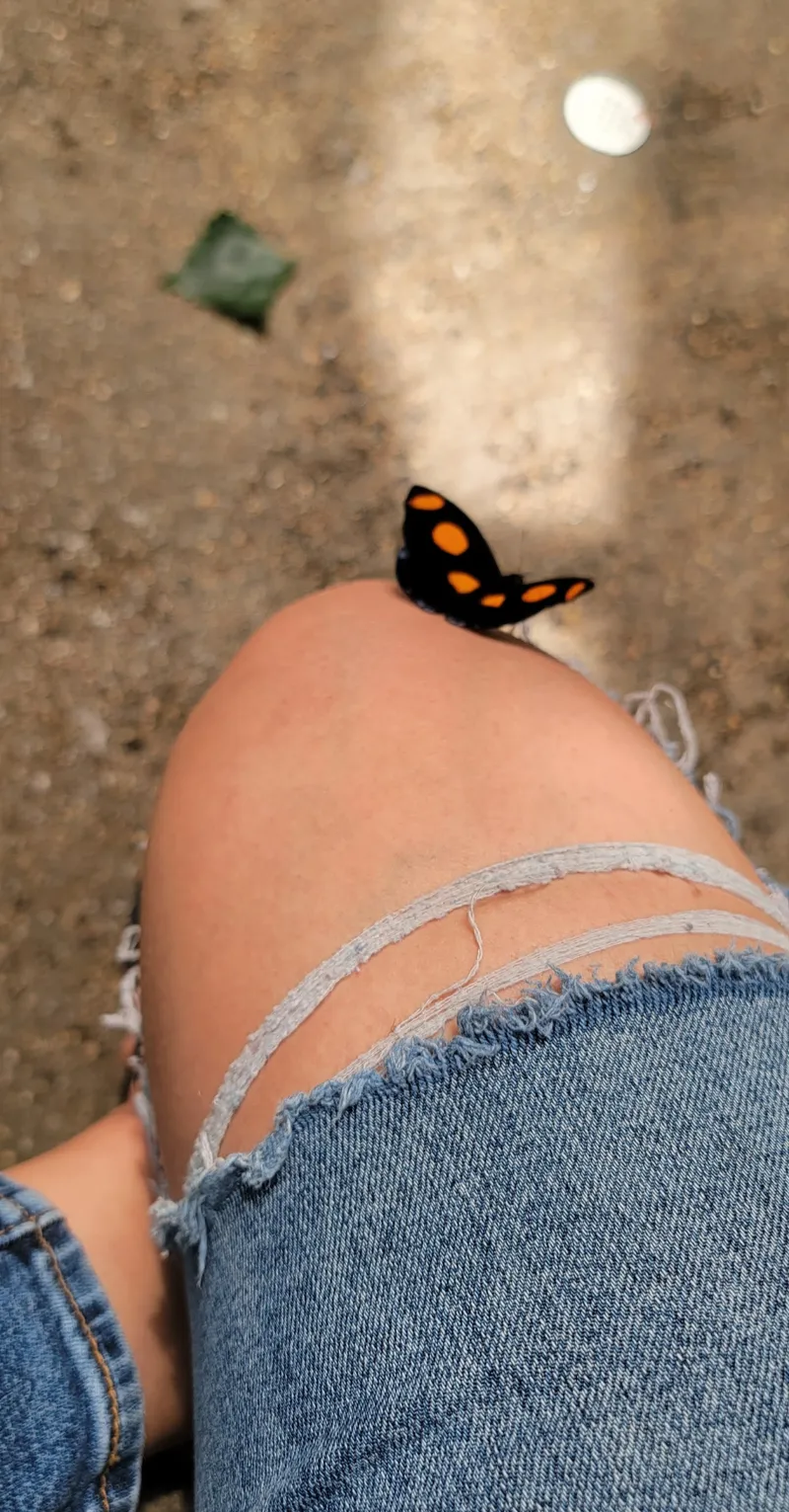 Thumbnail Exploring Butterfly Thigh Sensations by moistcookieangel | Thighs Category