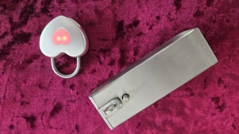 Thumbnail Bucho22's Intriguing Piece: YoKoNex lock - femalechastity