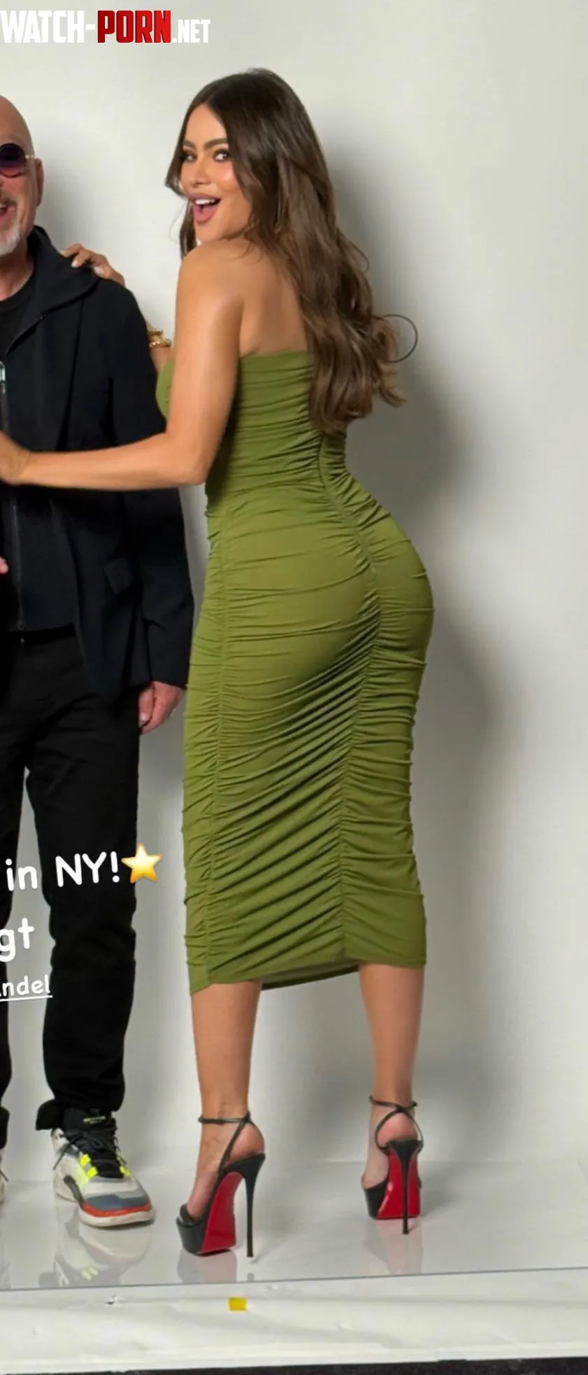 Sofia Vergara by Muted-Cabinet9766