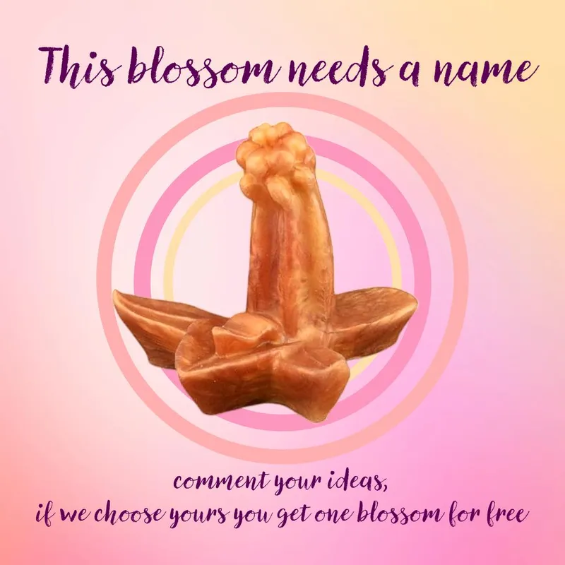 Thumbnail Naming a Cutie: A BadDragon Product Review | FruityBeeToys