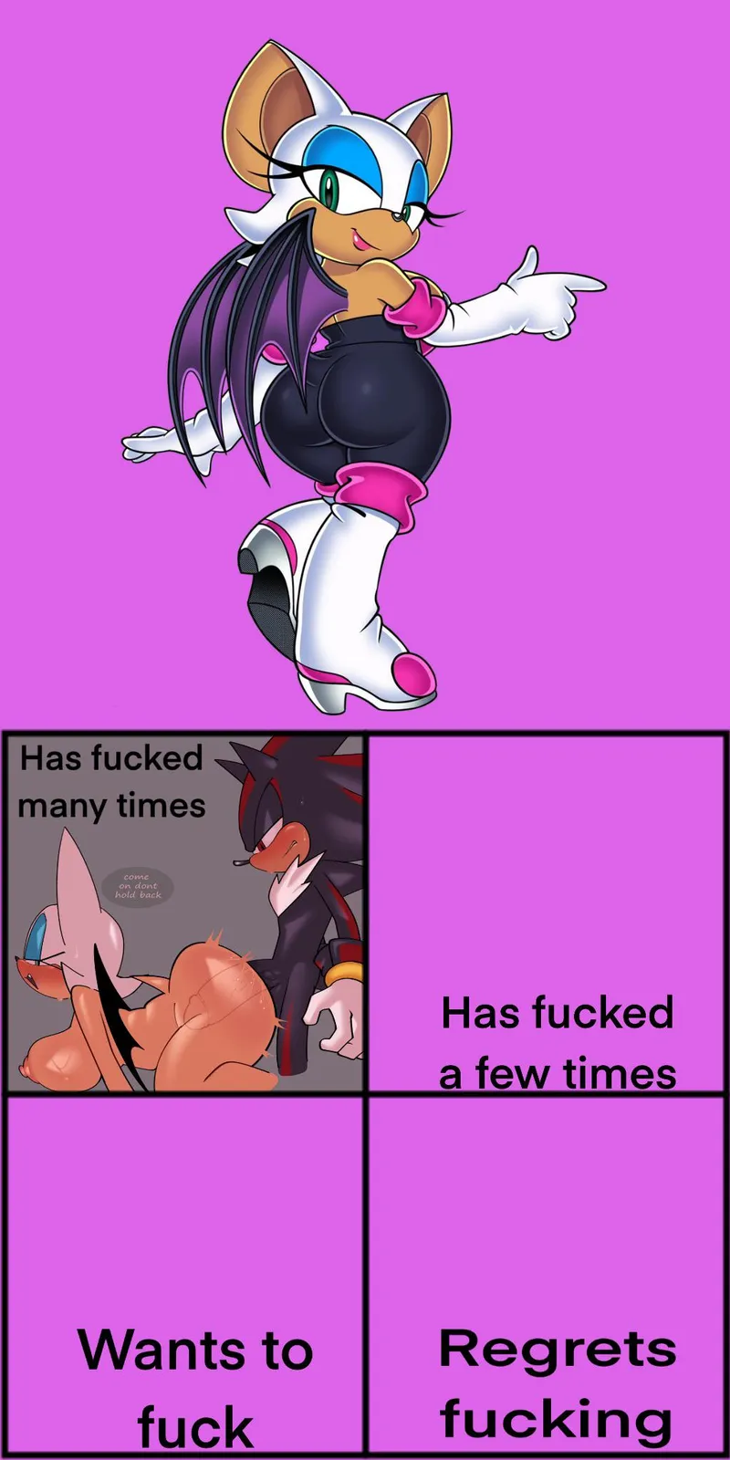 Thumbnail Rouge's Intimate Encounters in SonicPorn Category