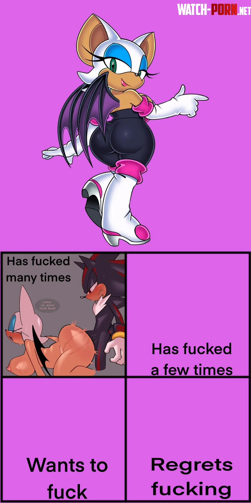 Rouge has fucked shadow a lot. Who has she fucked a few times? by Crumpetttttt