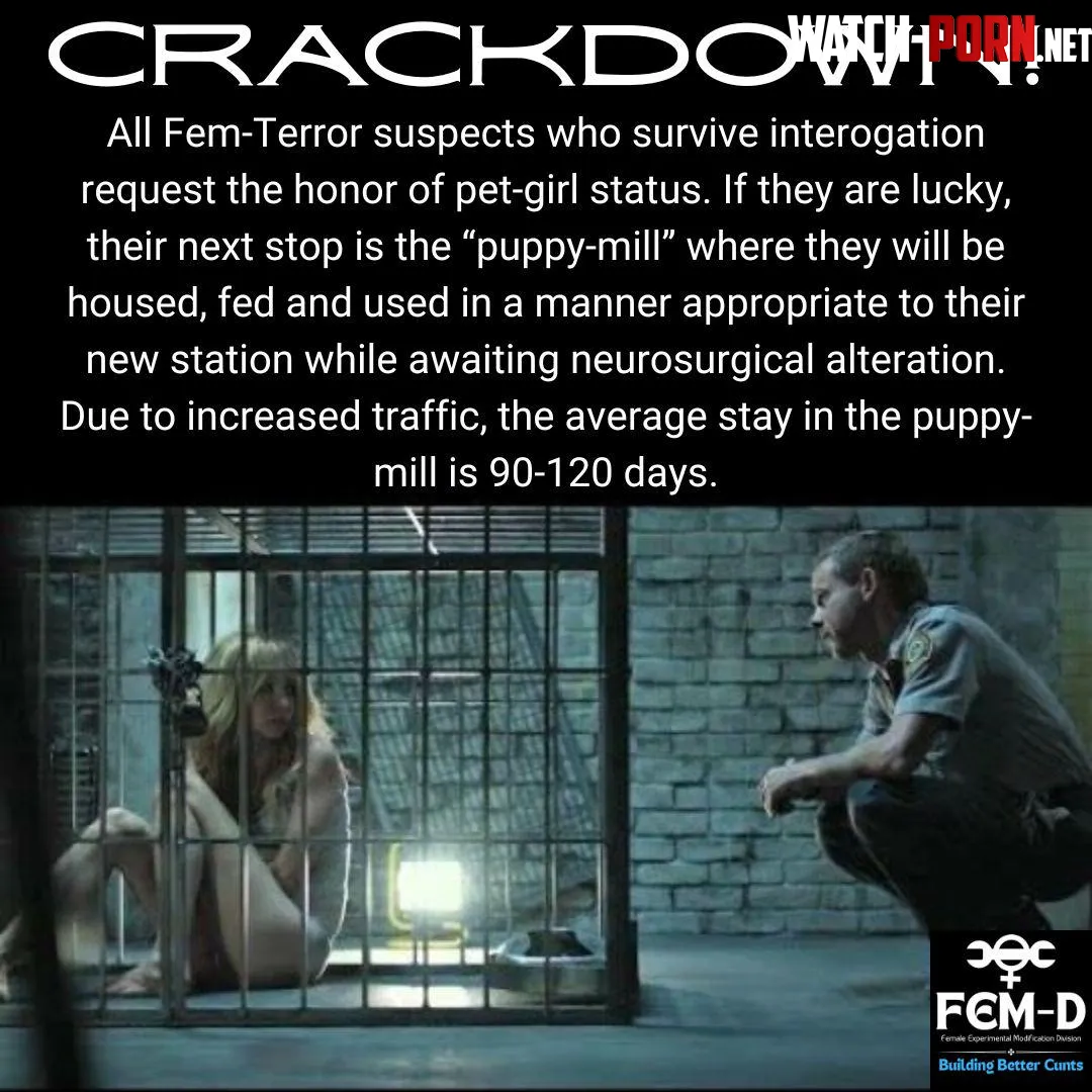 FEM-D Assists DFA in Cunt-Terror Crackdown (4) by LordOseleon