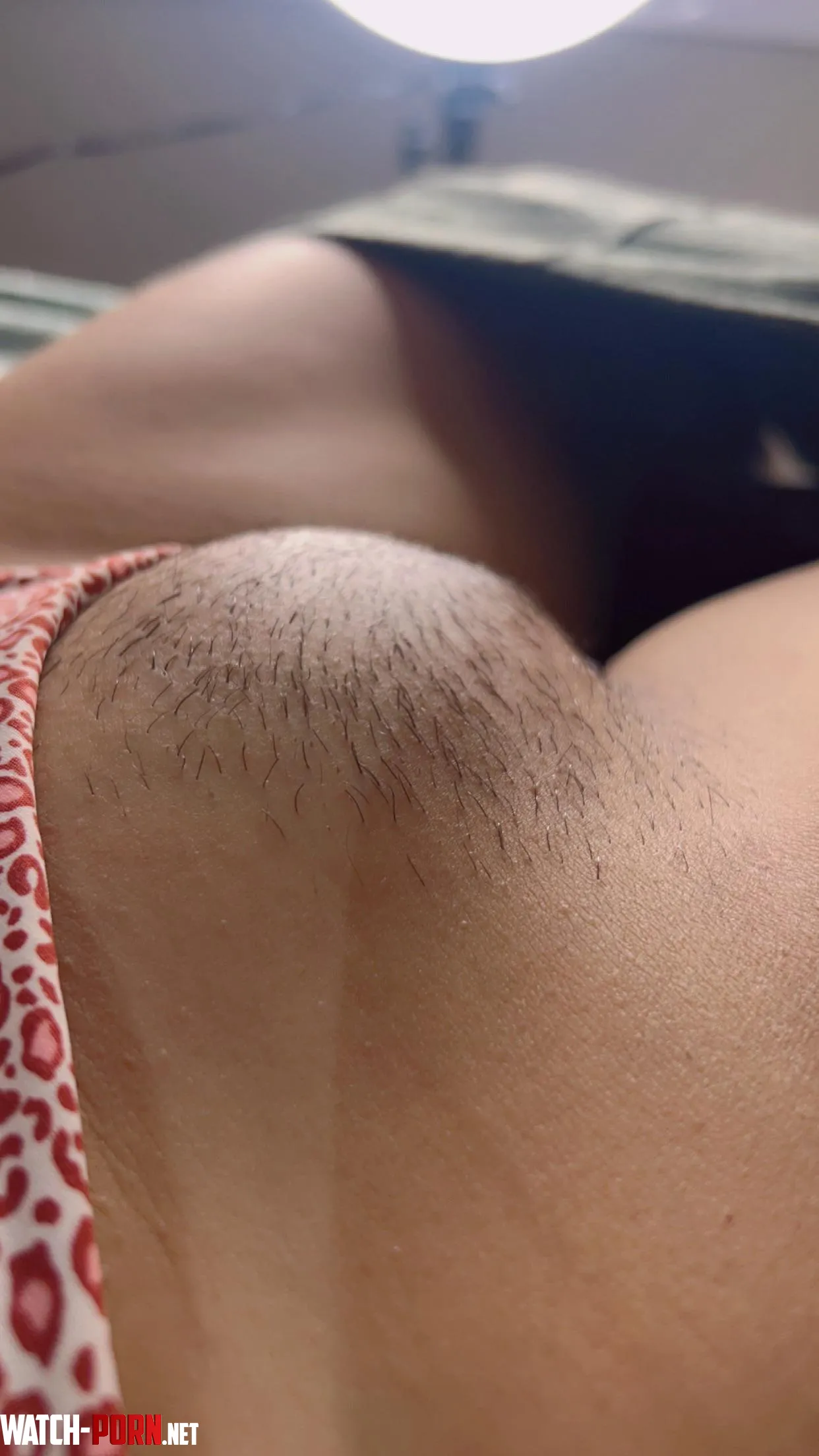 I just need your opinion to decide… do I shave it or leave it like this? by noo-facee