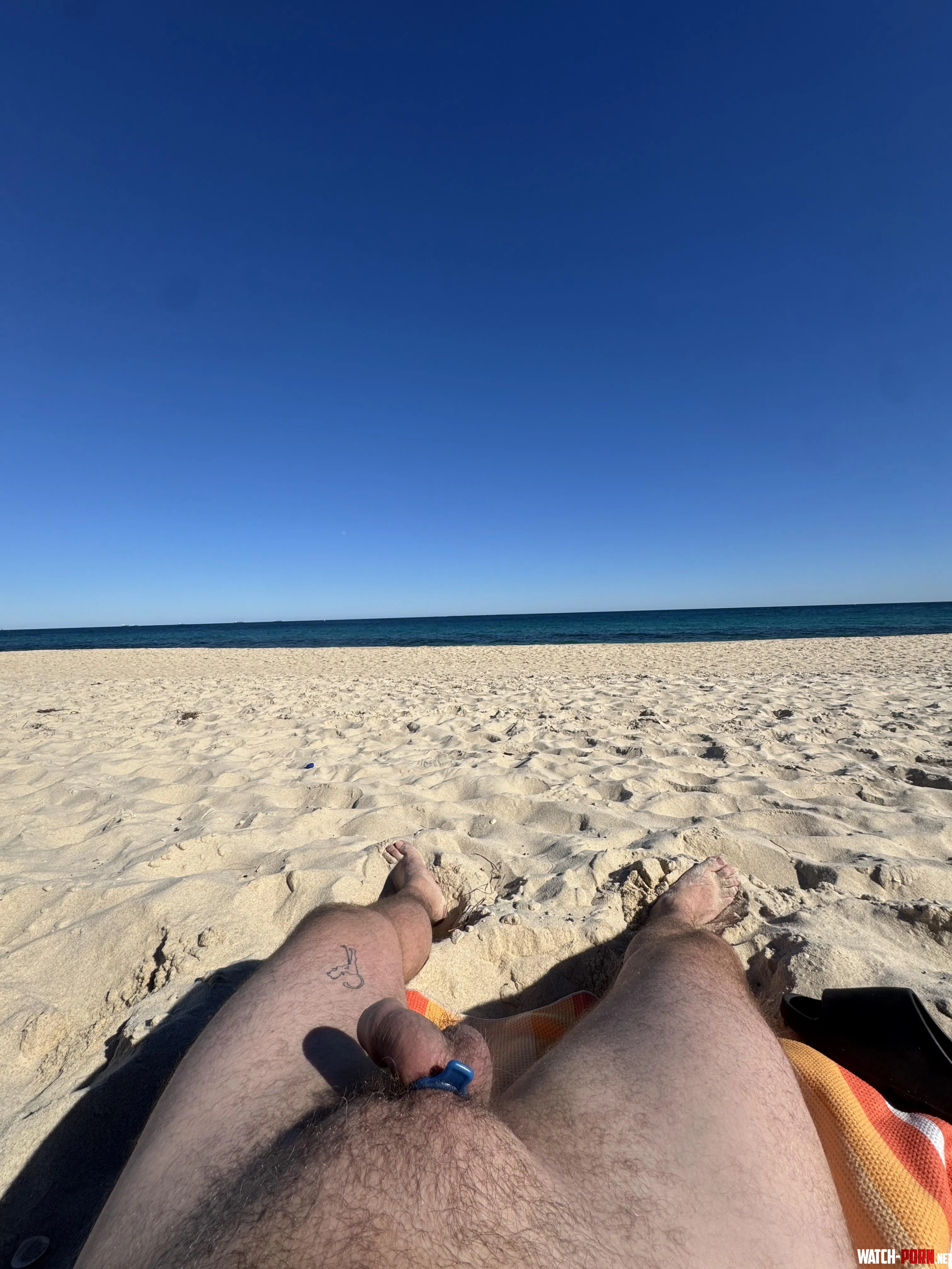 Swanbourne beach belly and cock out ;) by Ordinary_Rise_5690