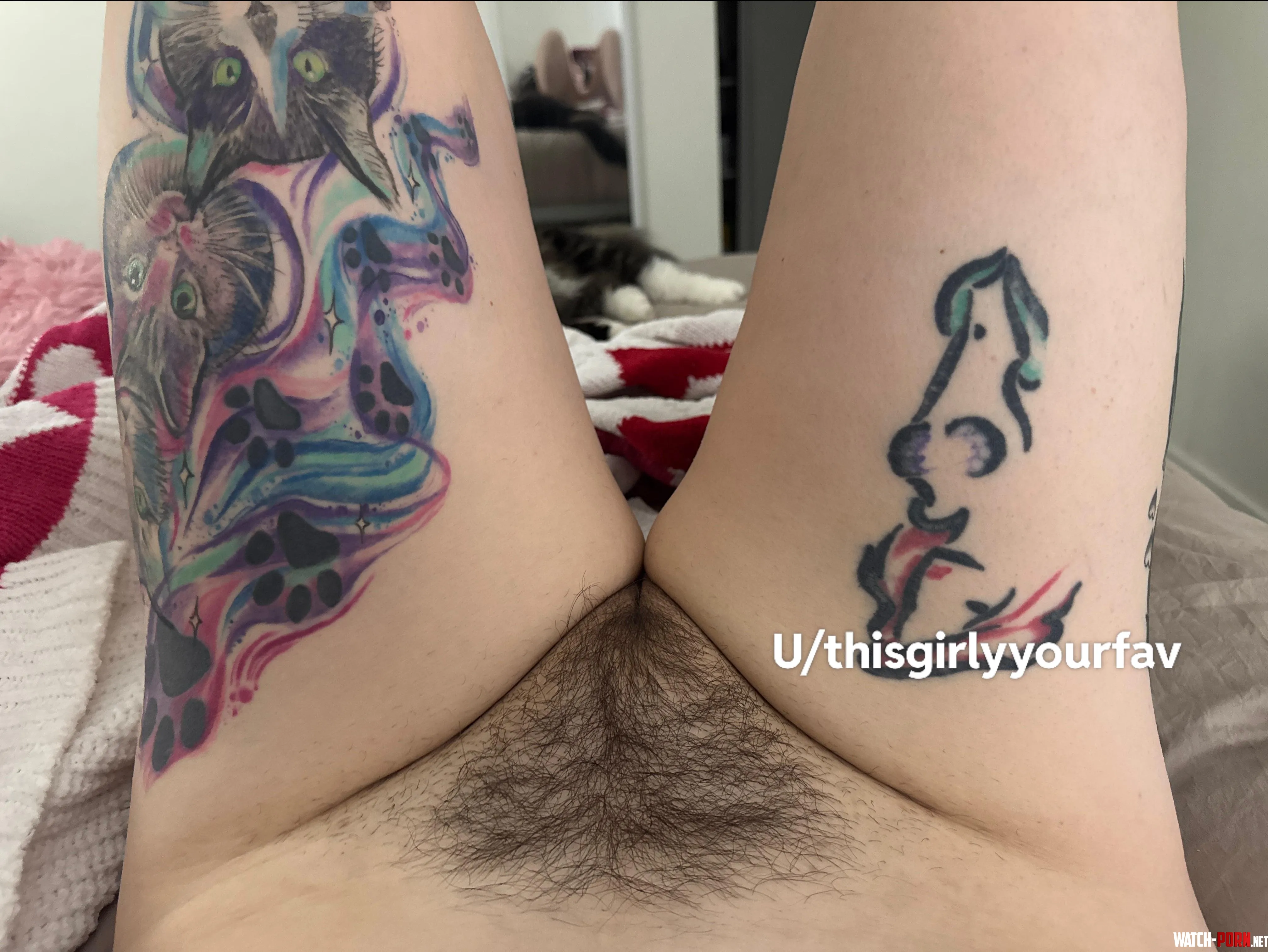 Fat hairy coochie by Thisgirlyyourfav