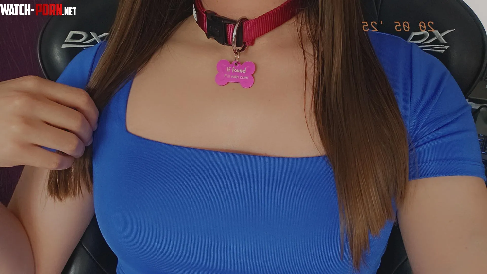 Do you like pet collars or metal collars more ? by GlitterGiiiirl