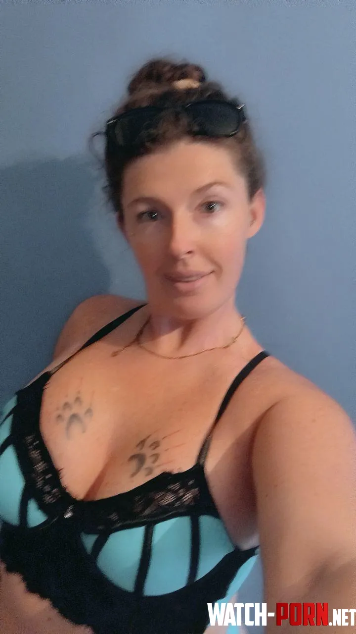 Irish Milf, Miss Paws by ProvPromoGraphics