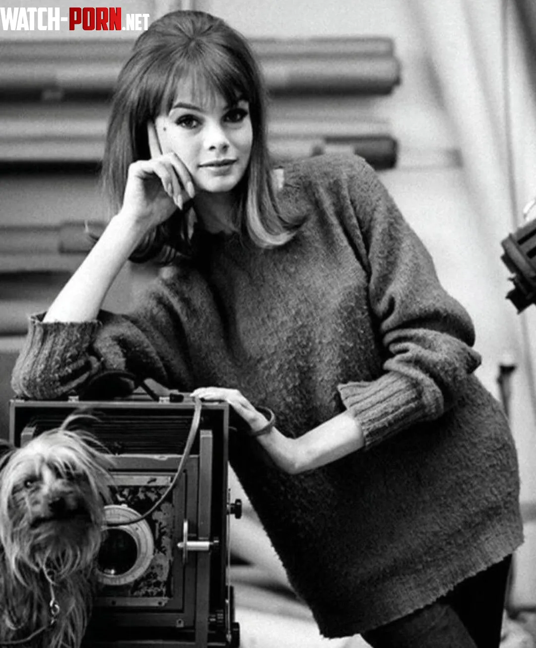 Jean Shrimpton by bil_sabab