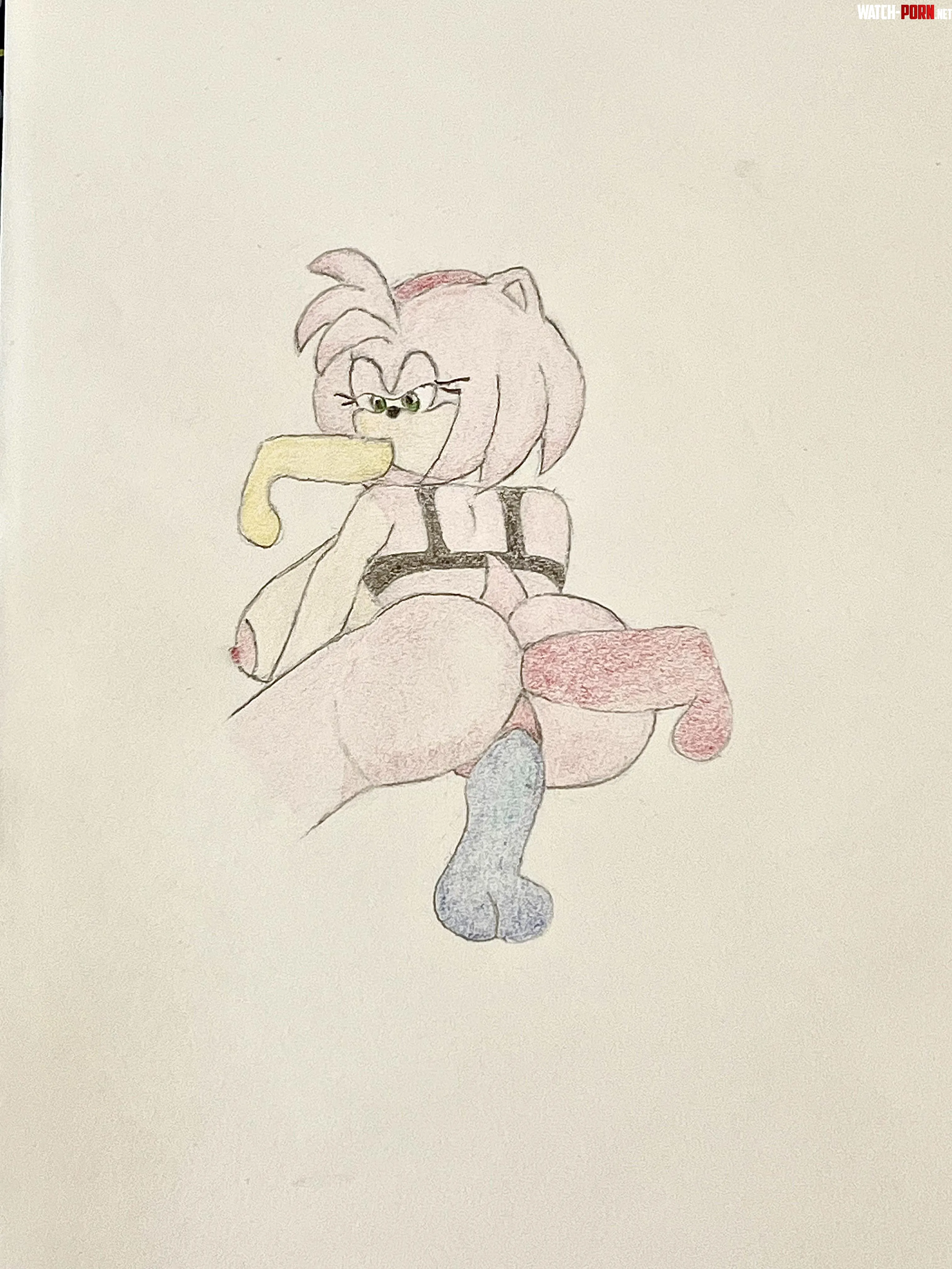 Amy Rose gang bang (by me) by Rionieen