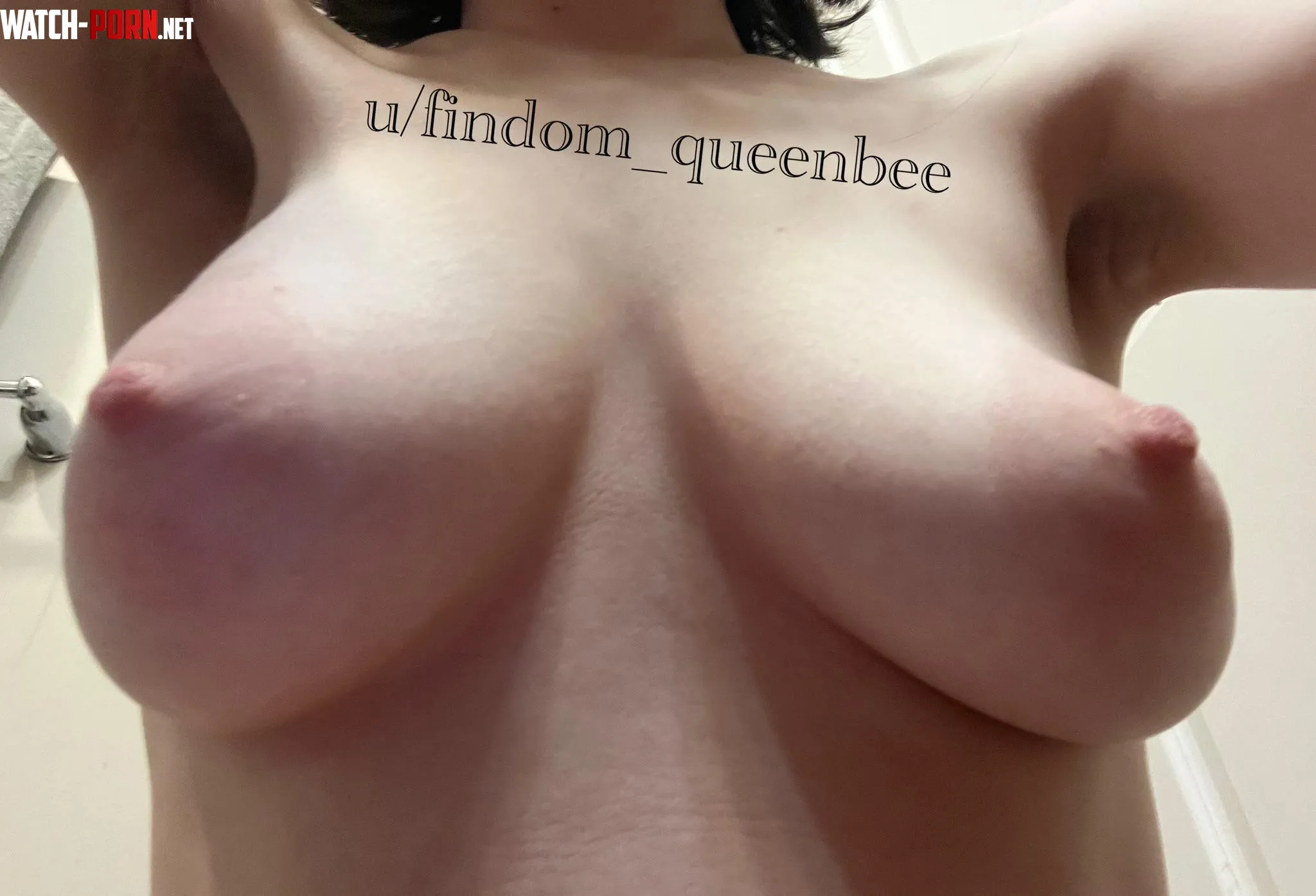 why do those pretty pits excite you more than the tits, freak? by findom_queenbee