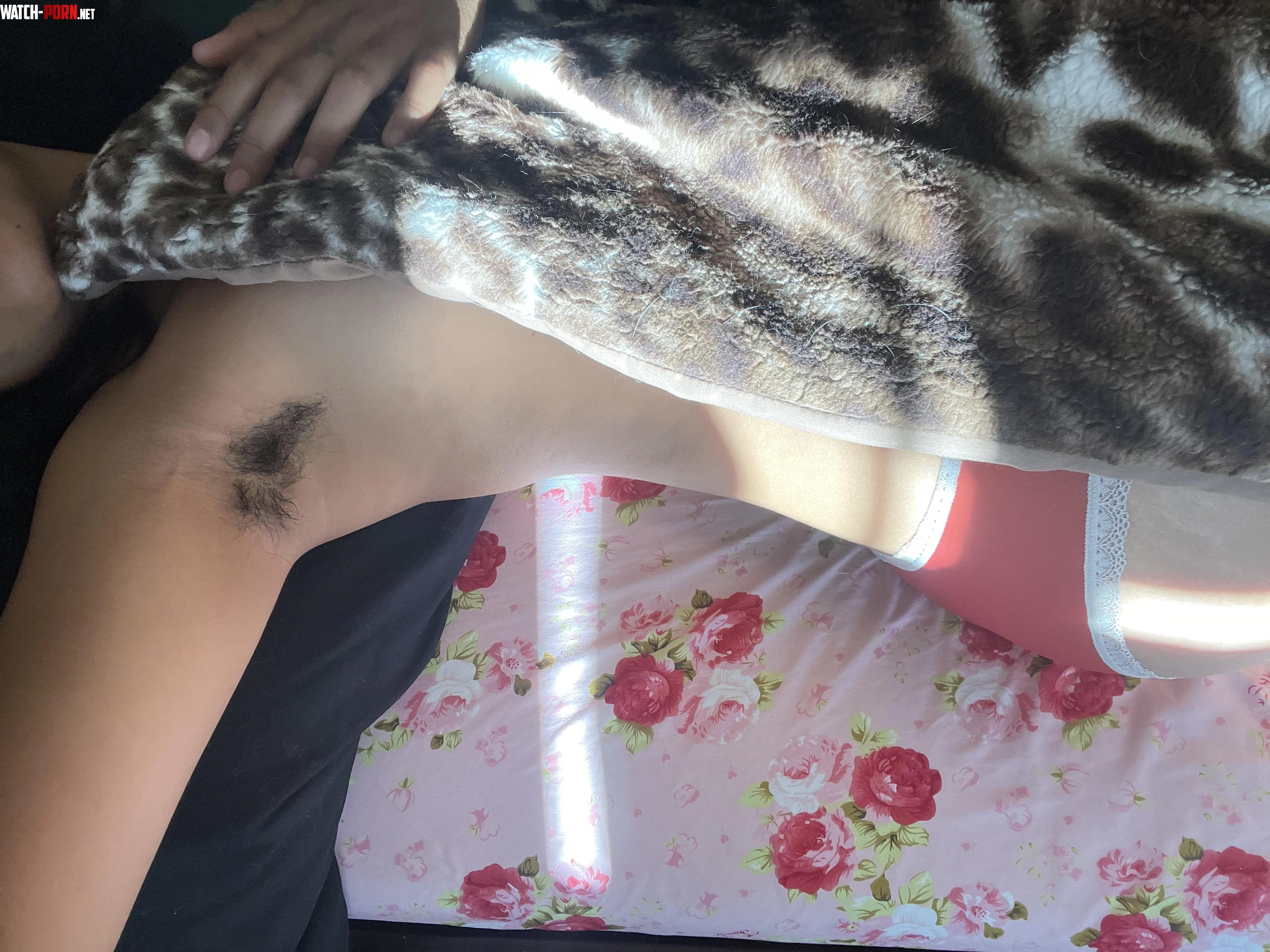 I love waking up to the sun by honeydewmittens