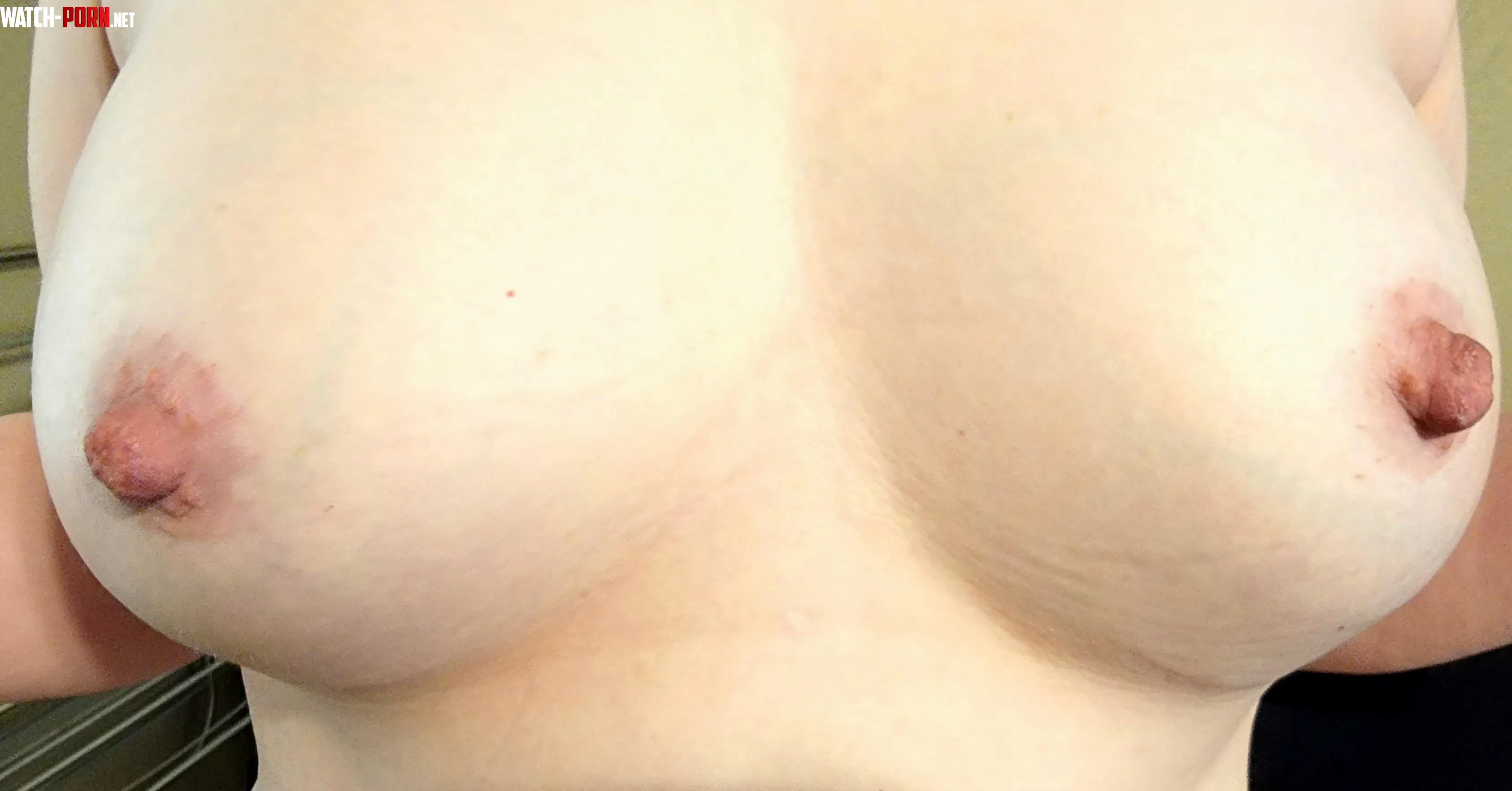 My husband says I have the most suckable nipples he's ever seen by Serious_Lab_9762