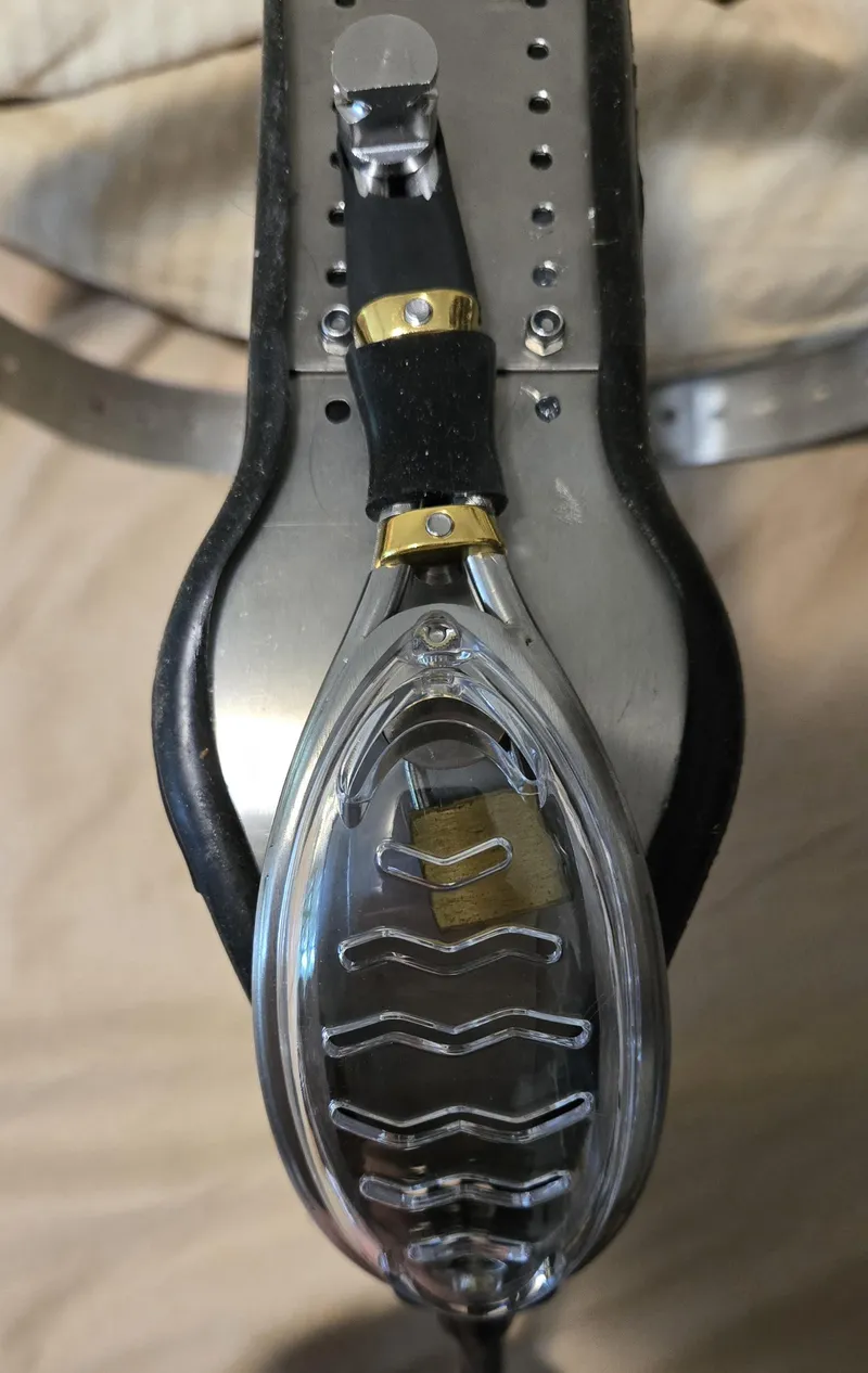 Thumbnail Battle of Shields: A Guide to Female Chastity by Bucho22