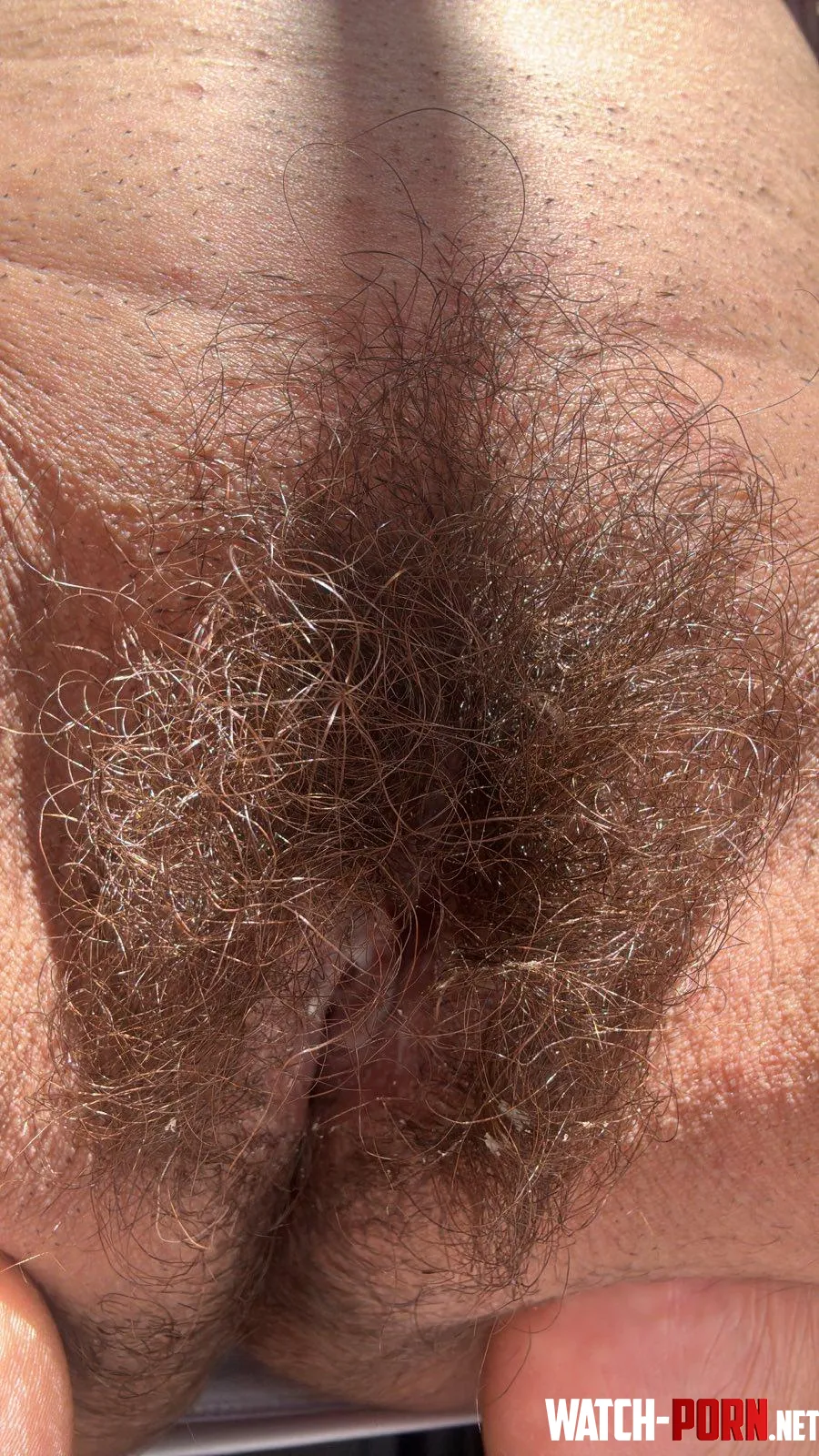Can hardly see the hole my bush is so full by lickedyslit