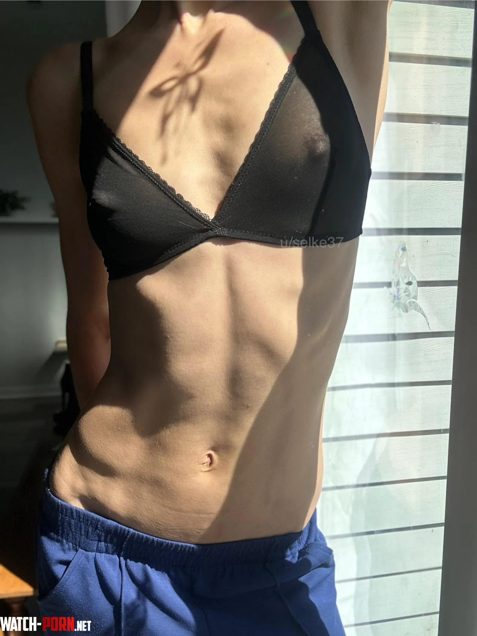 pokies in the AM sun by selke37
