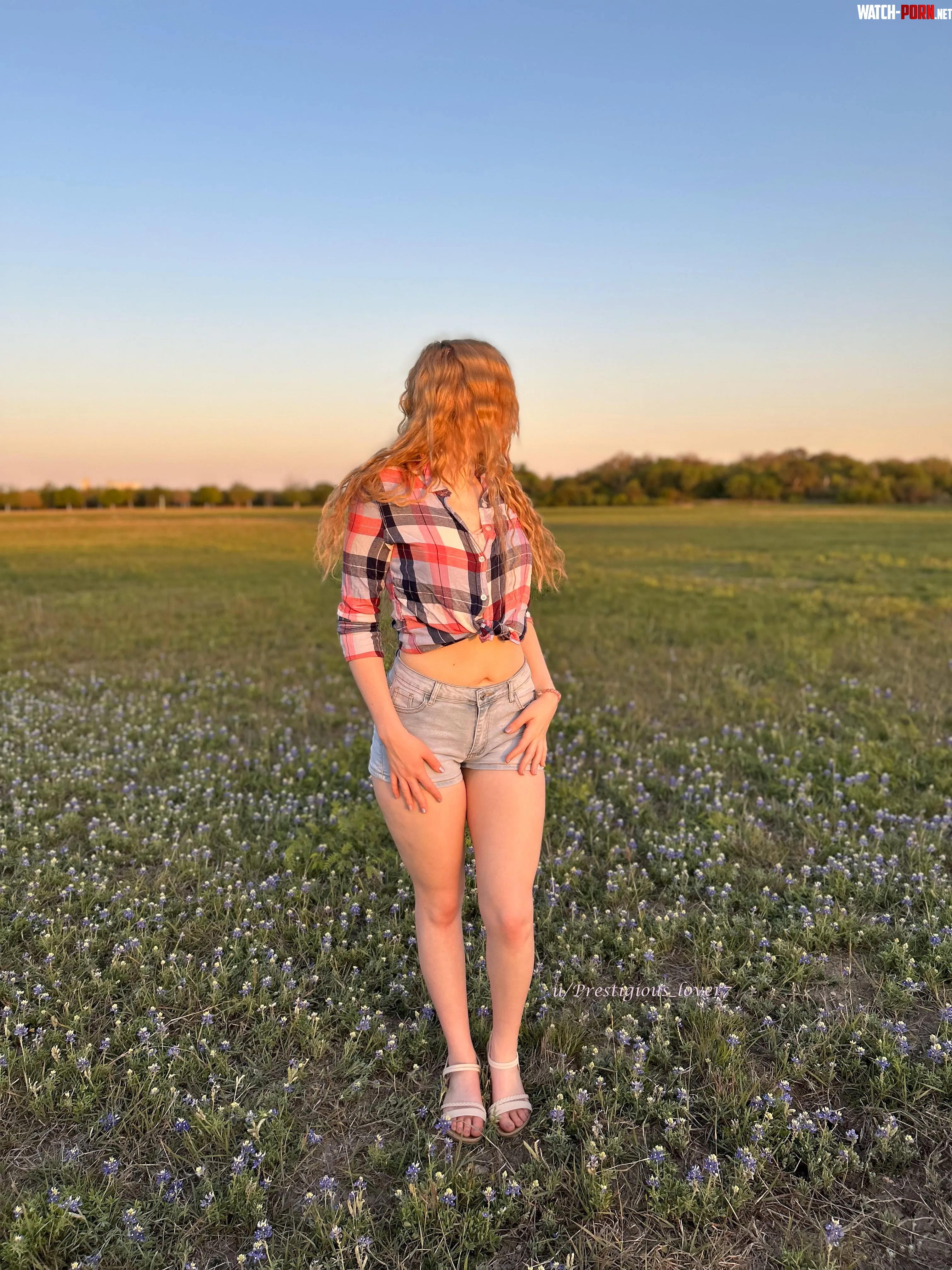 Crop top kissed by golden hour by Prestigious_lover7