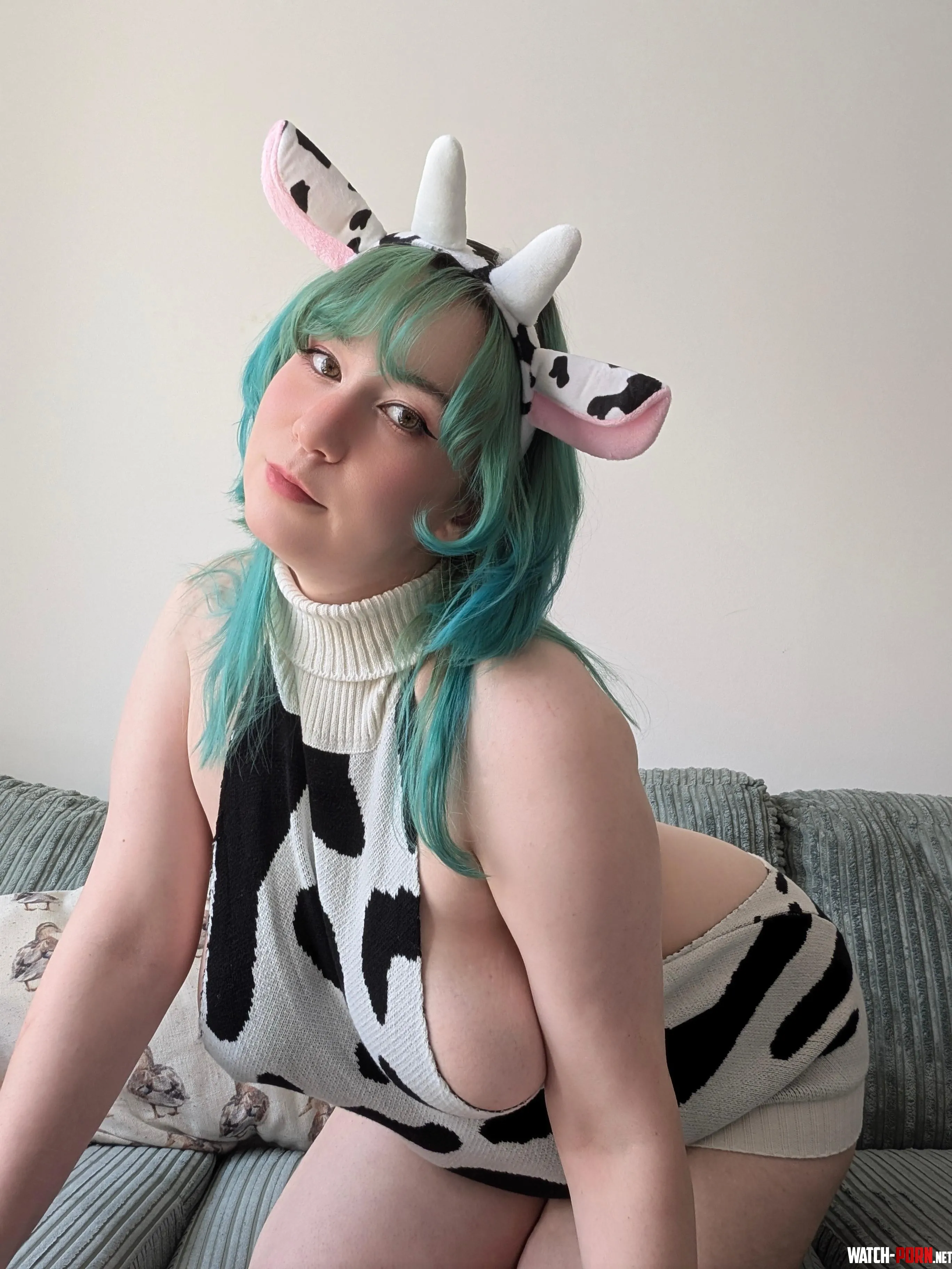 Just a cute little cow by Lucy4Leo