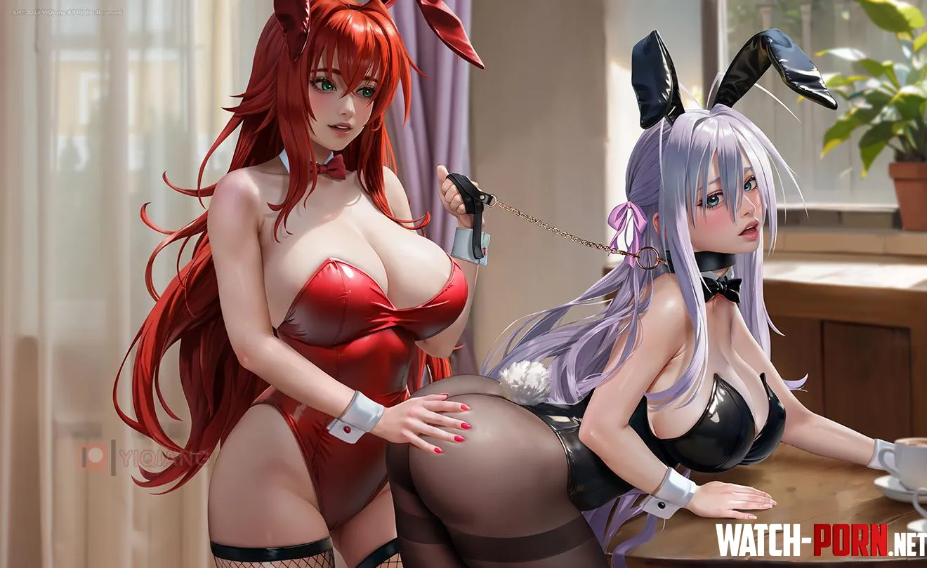 Rias Gremory and RossWeiss (YQ) by KrazyK1989