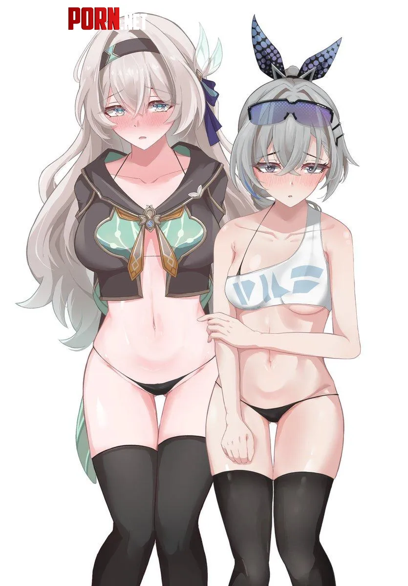 Firefly x Silver Wolf (@hibachaaa) by queshu22