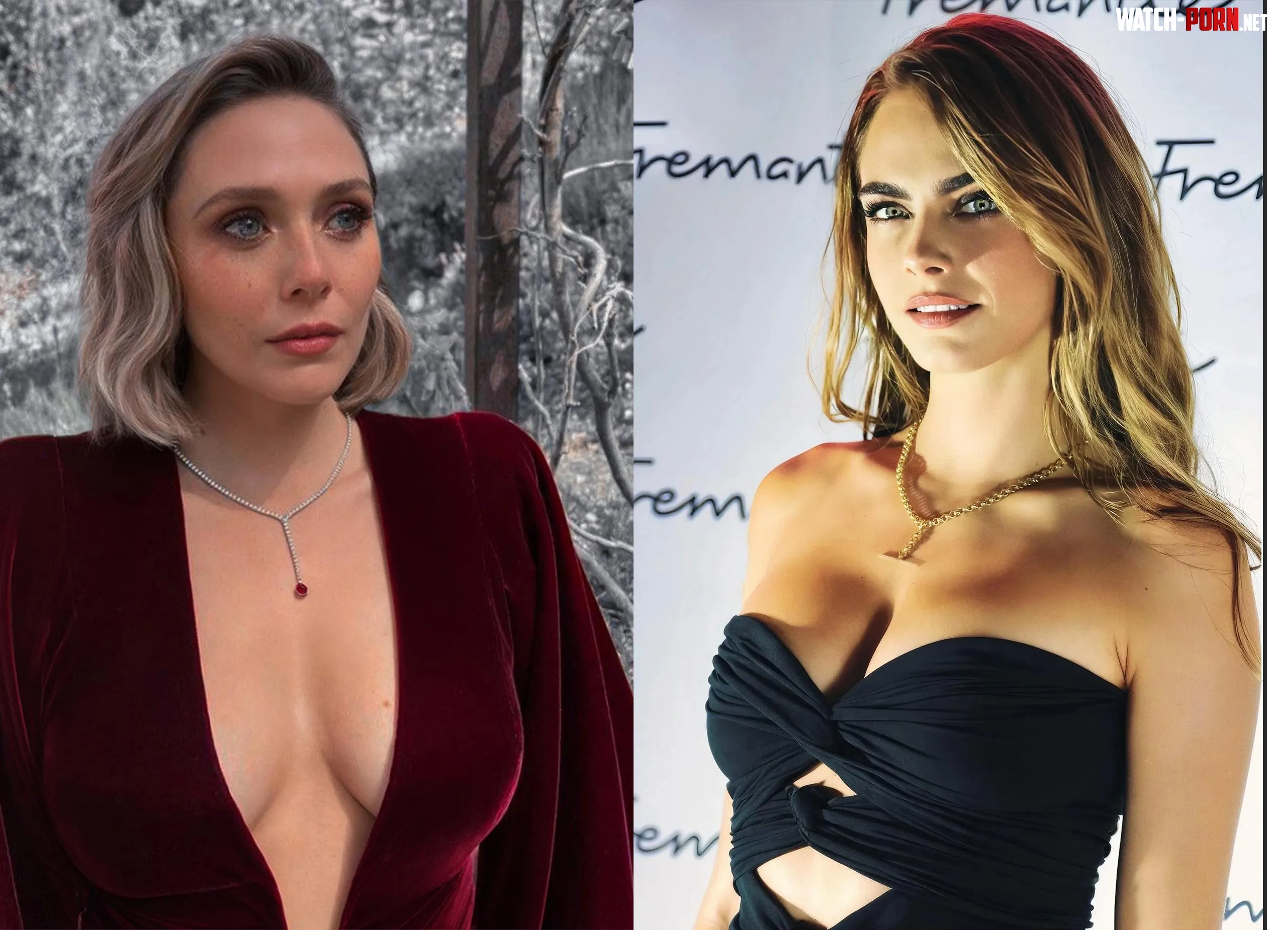 Elizabeth Olsen or Cara Delevingne by berx83