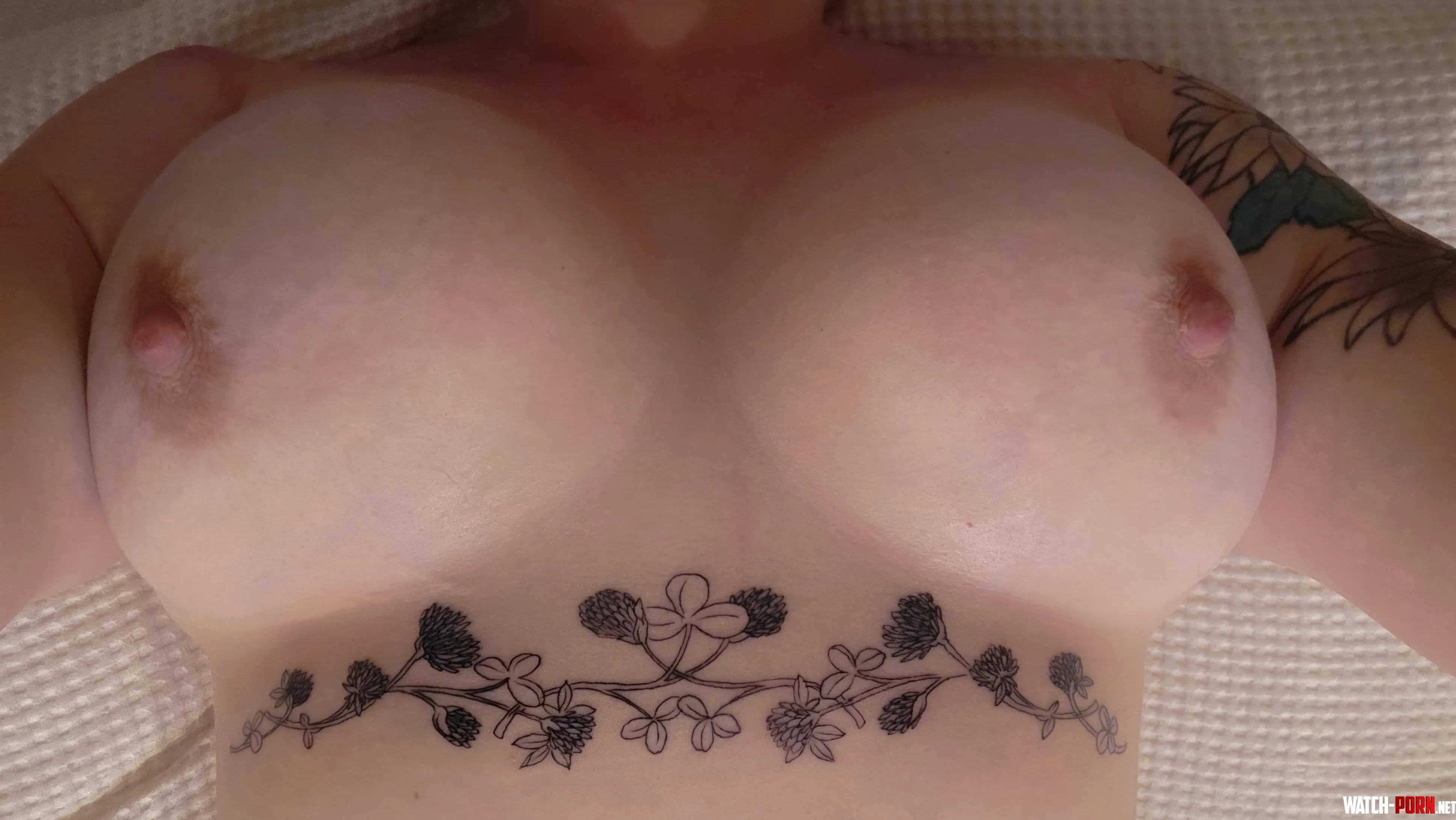 new ink :) by pinkypromiscuous