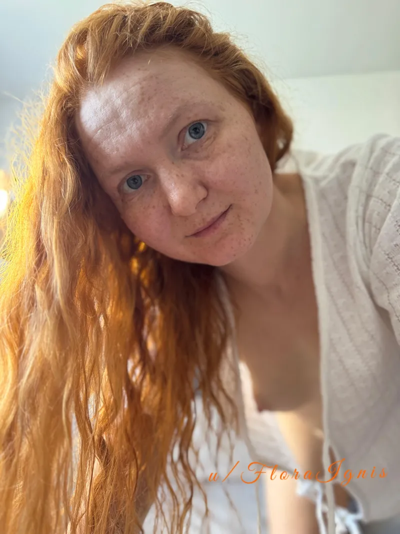 Thumbnail Sunny Ginger Time - FloraIgnis | ginger