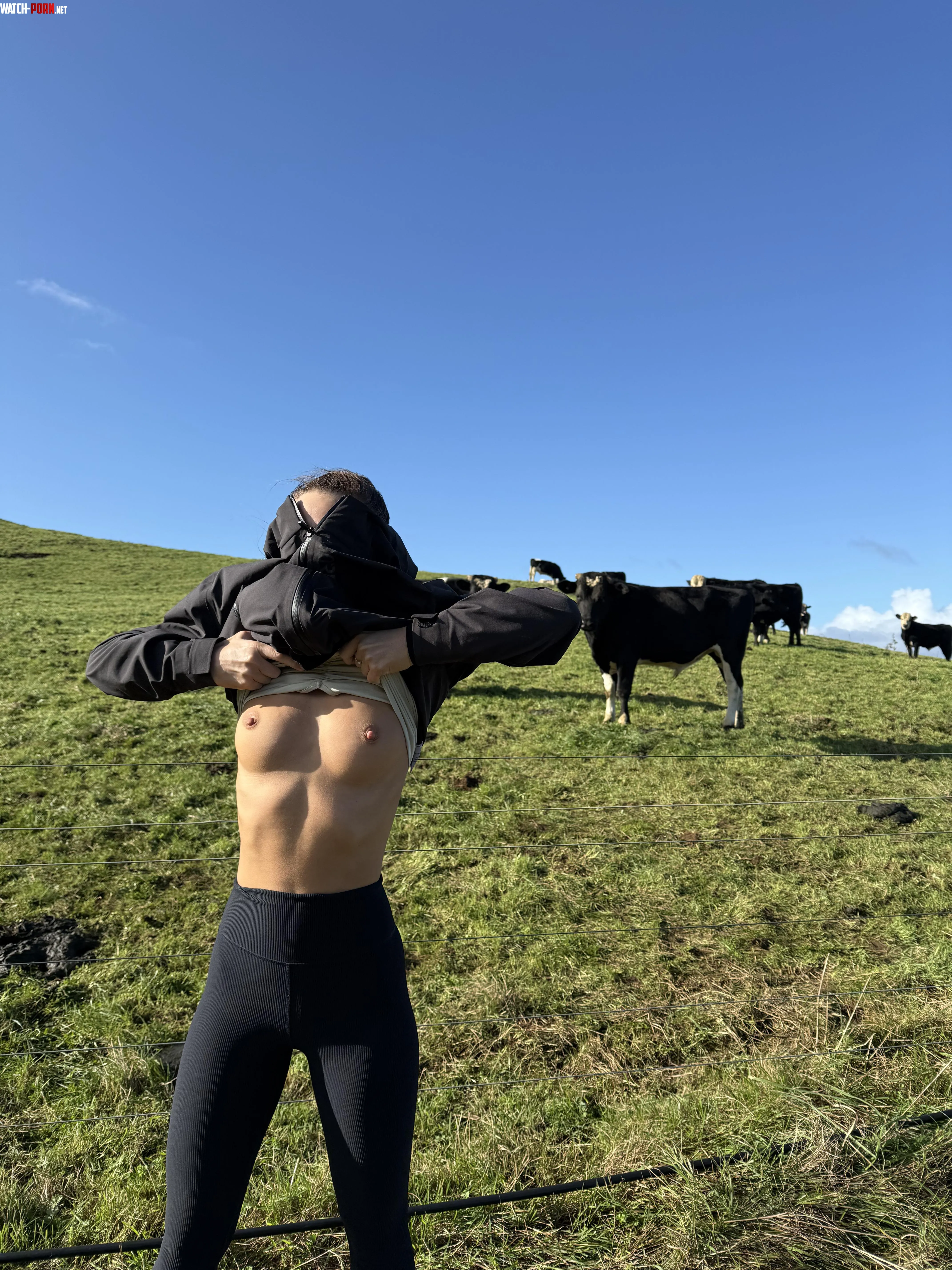 Tits out 🐮 by SophiaMarais