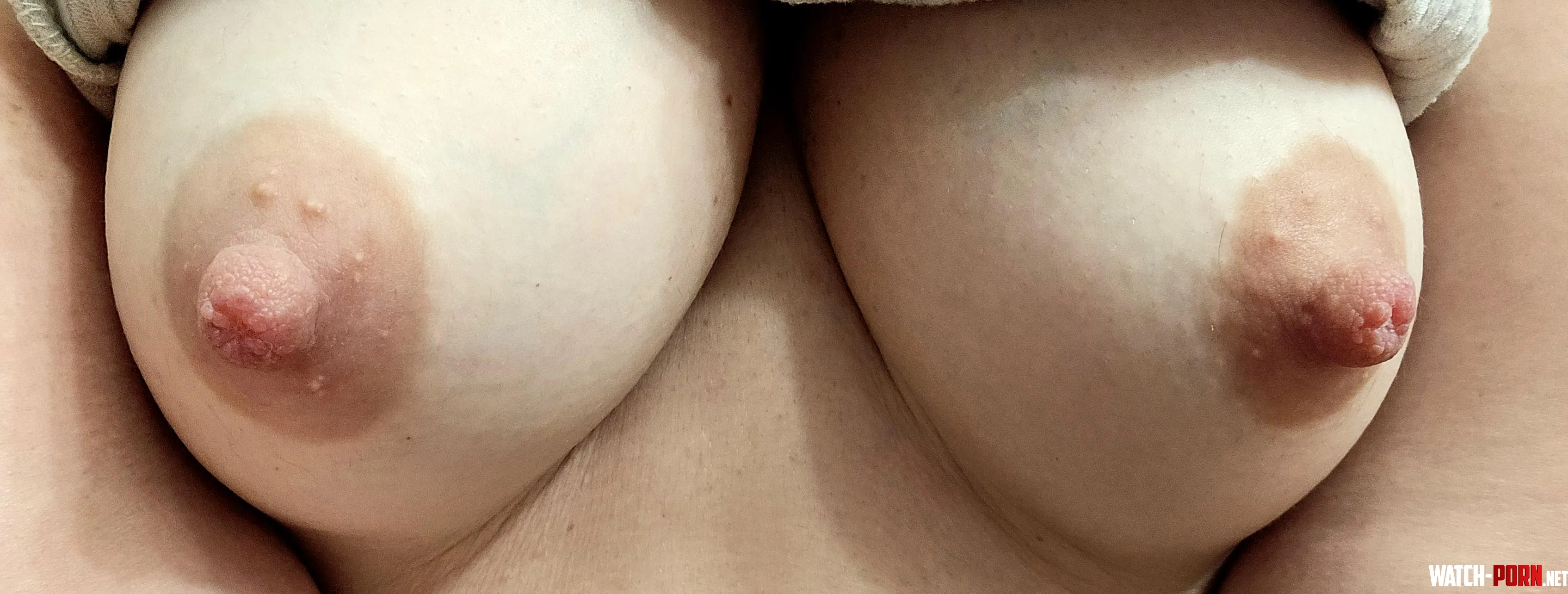 My puffies want your attention please 👅💦😍 by peachjuice69