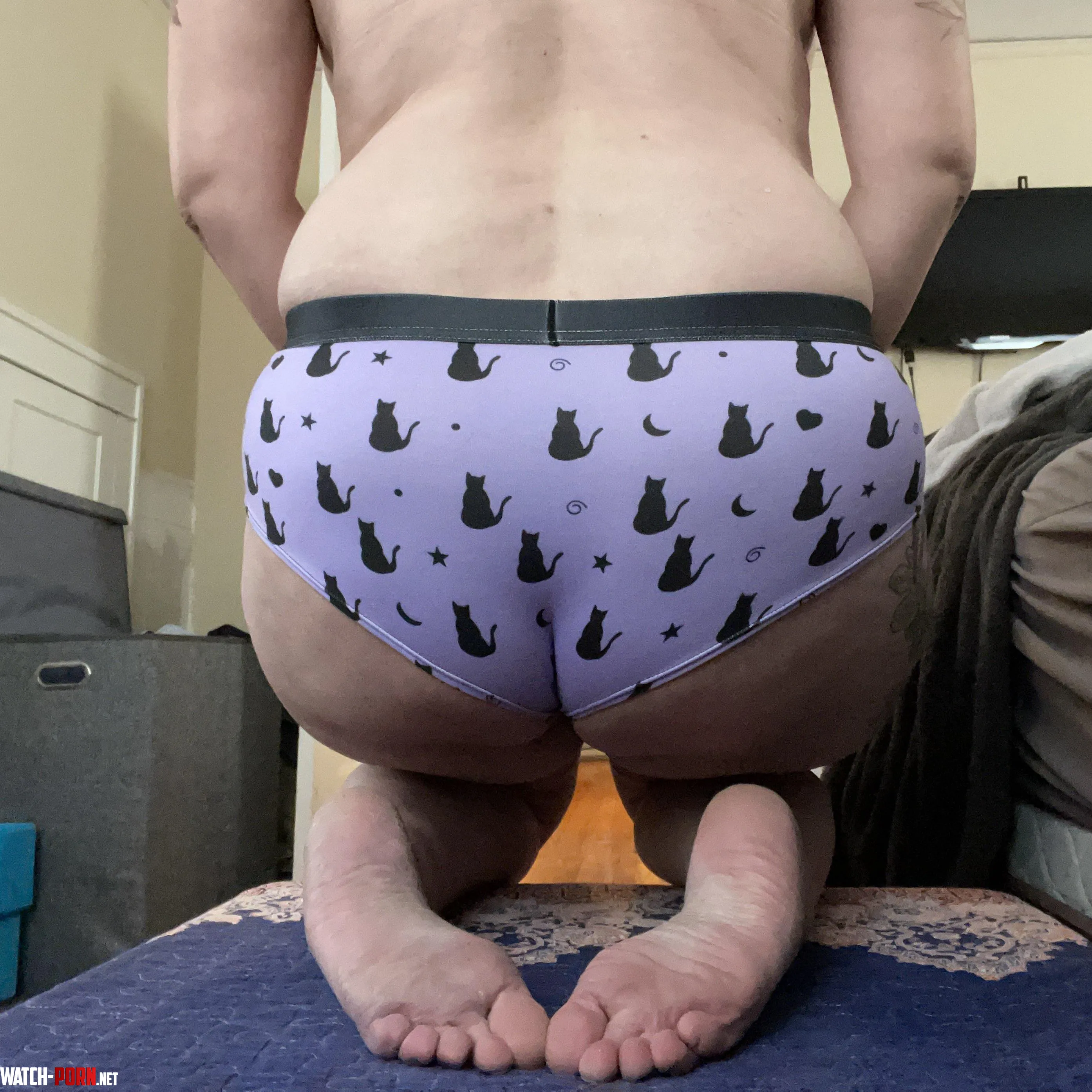 Cute Kitten Panties by Pir8Rbrts2