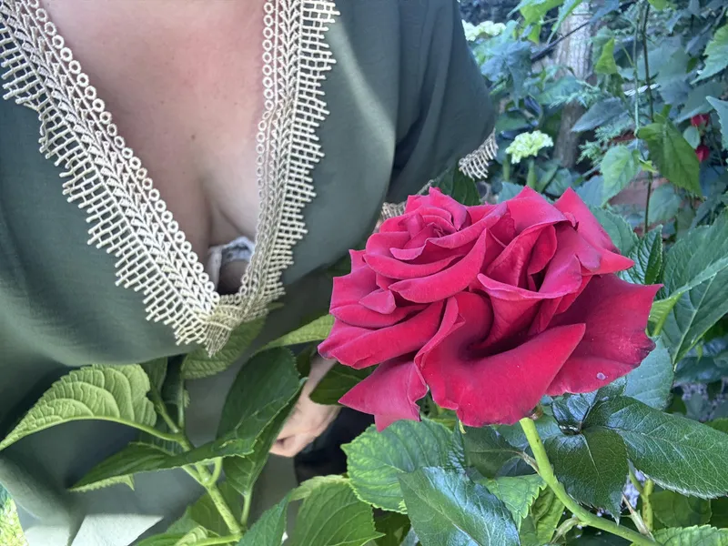 Thumbnail SubSexcretary: Gardening Tips & Attention Seeker | downblouse