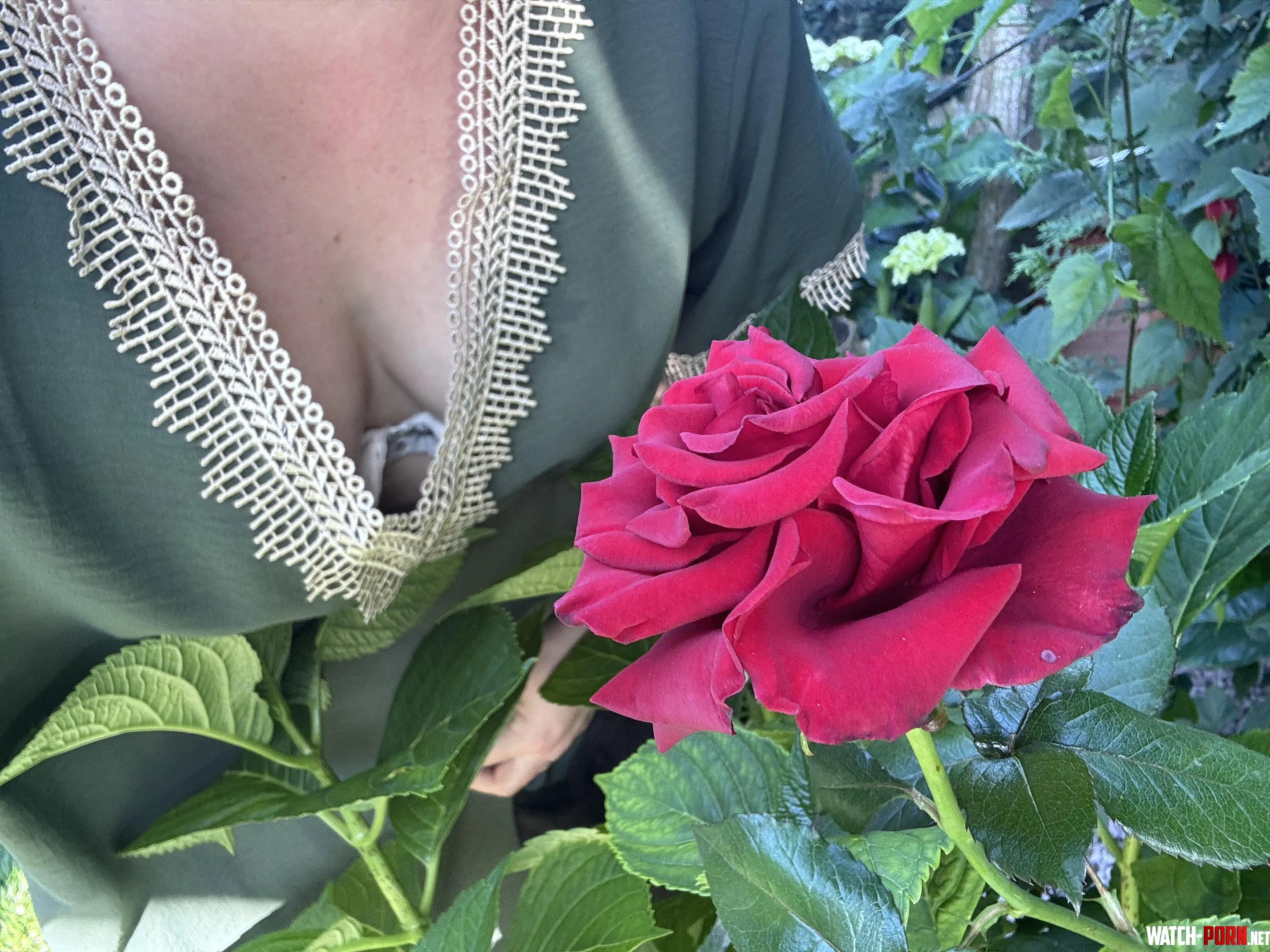 So I was talking about gardening tips but none paid attention… by SubSexcretary