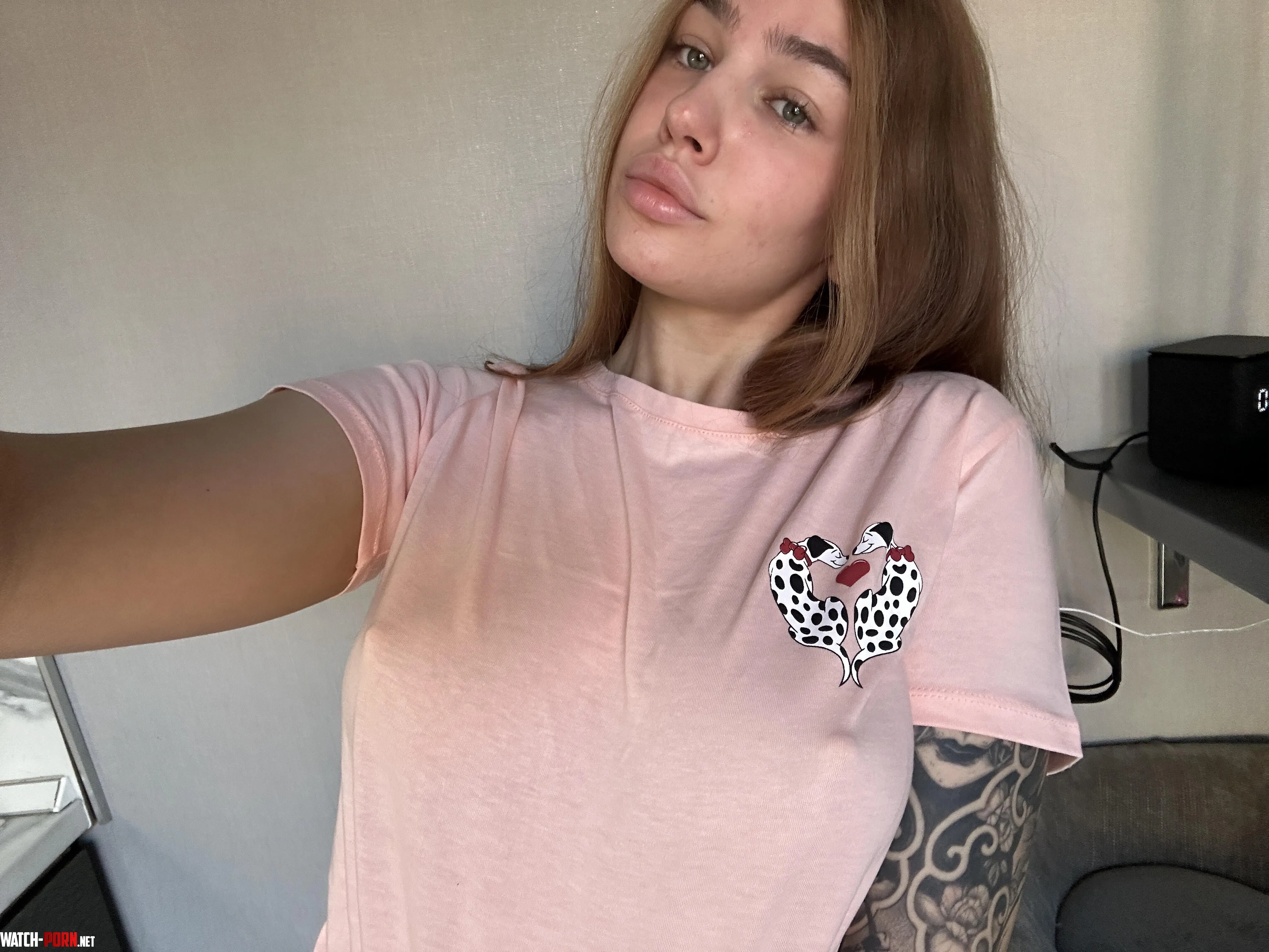 Displaying my pokies under a pink t-short today by Nasamelchamill