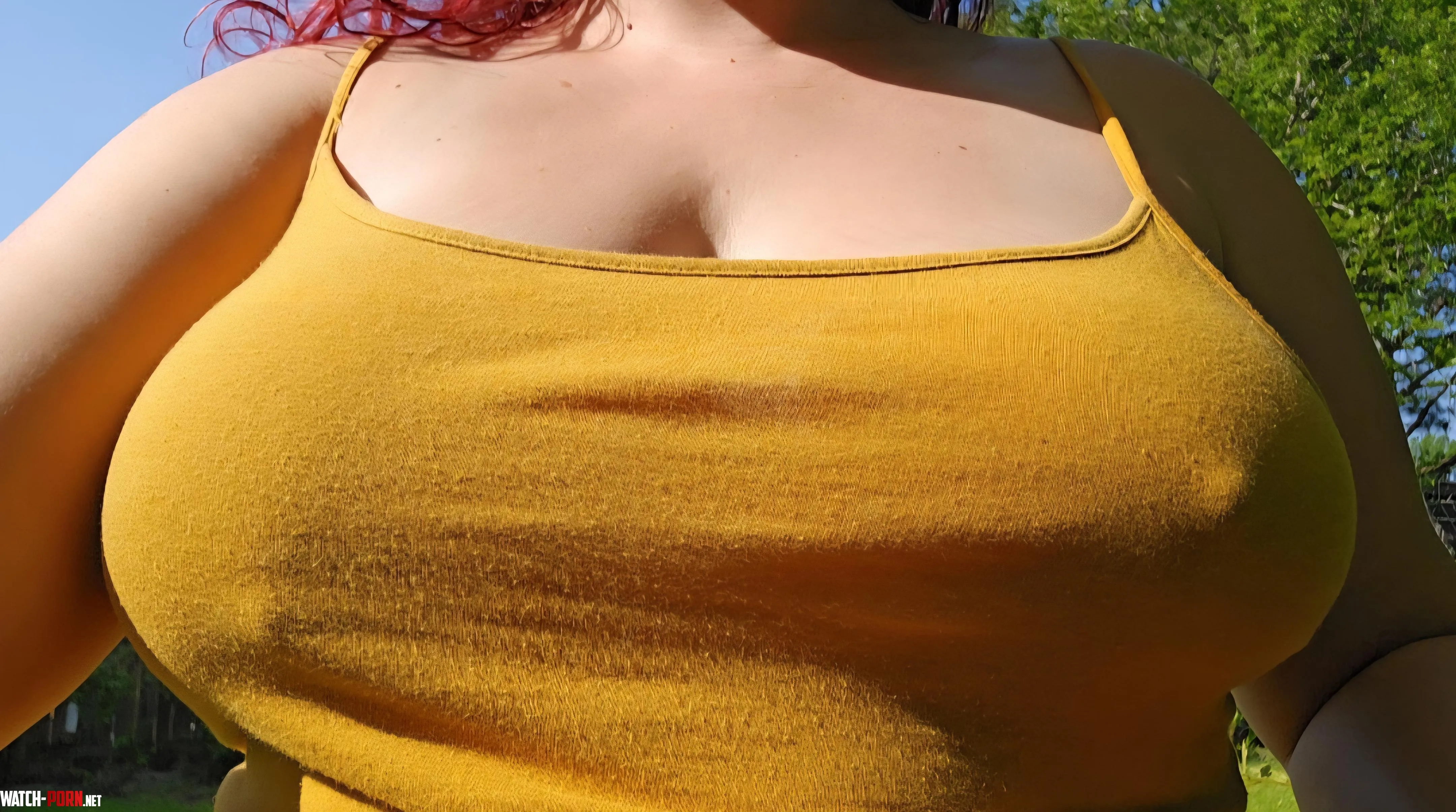 Pokies in the sun by Hazy_MaeveyL