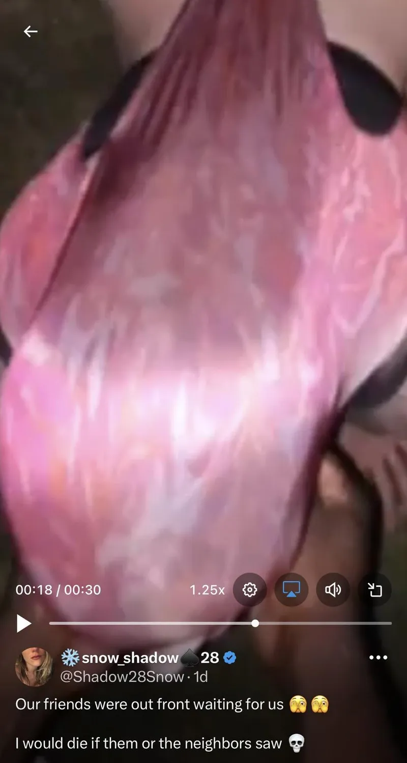 Thumbnail Nerd Alert: DJ_Crow Seeks Help in the World of WedgieGirls