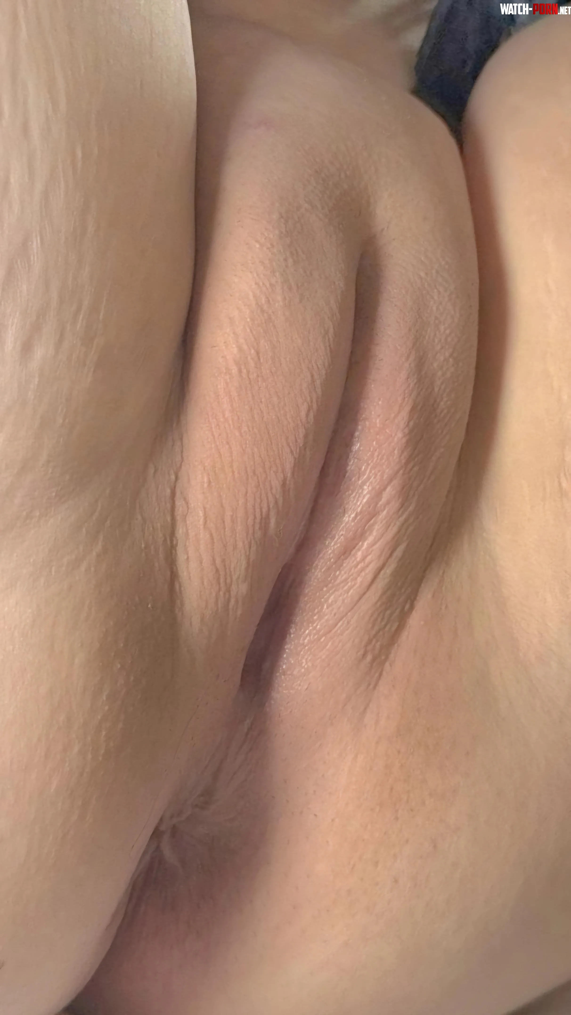 If your cock could talk, what do you think it would say to my Innie? by Sub-Doxy