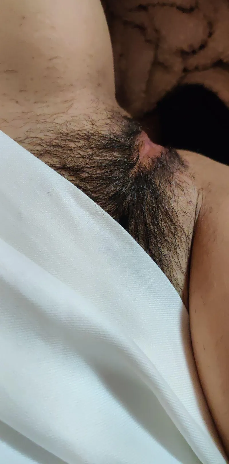 Thumbnail Peekaboo Delight: Discovering sunny-22's thefullbush