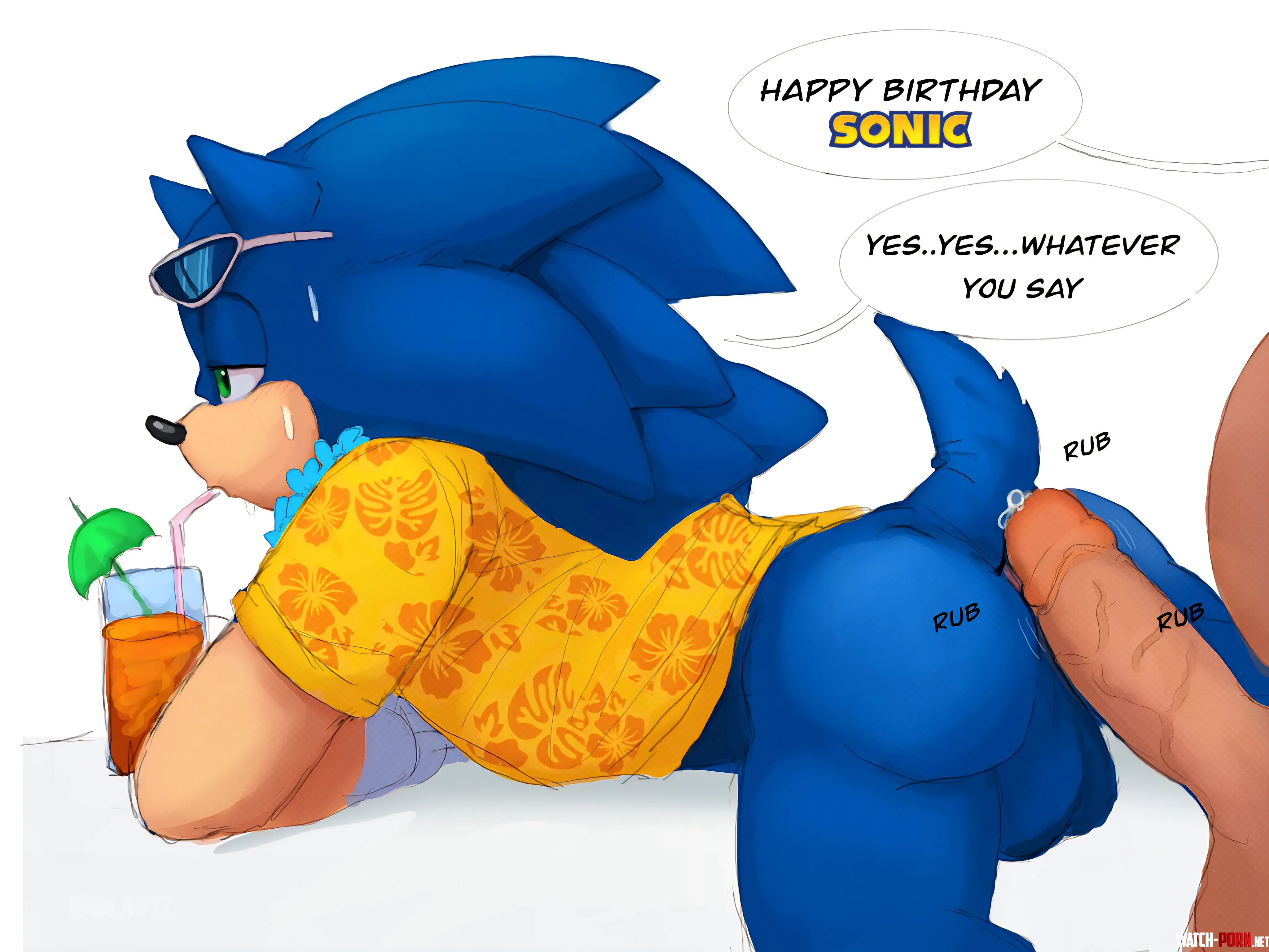 SONIC Birthday Gift [MM] (@aciidtron) by Sonic_the_hedgedog