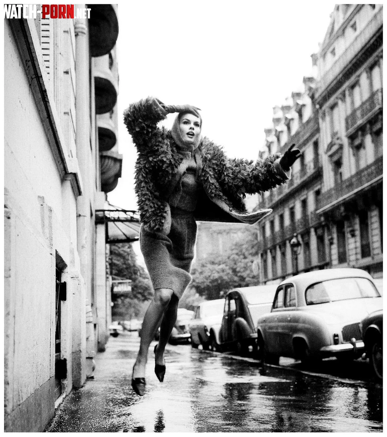 Jean Shrimpton by bil-sabab