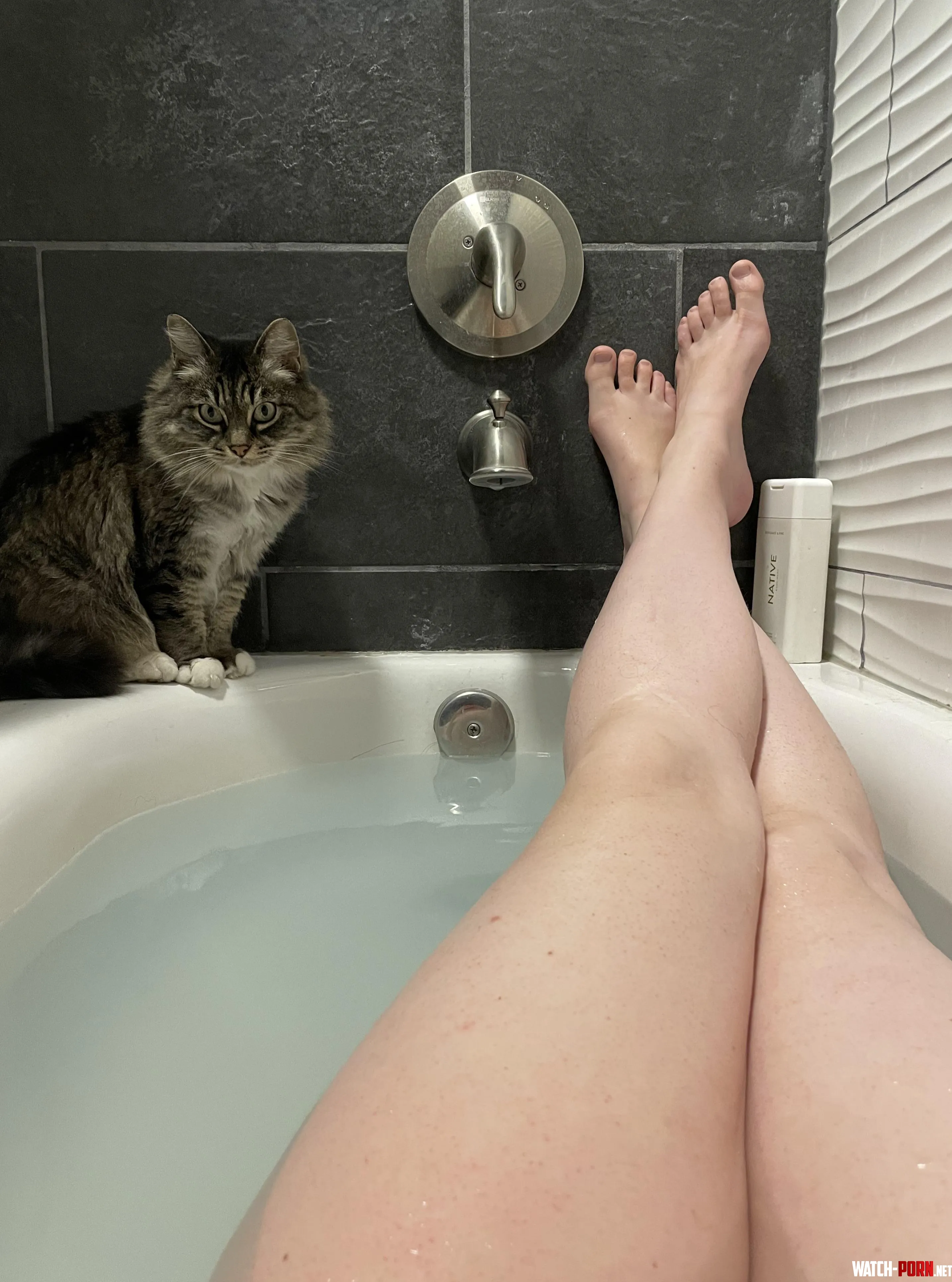 My cat’s name is Charlie by Outrageous-exit2024