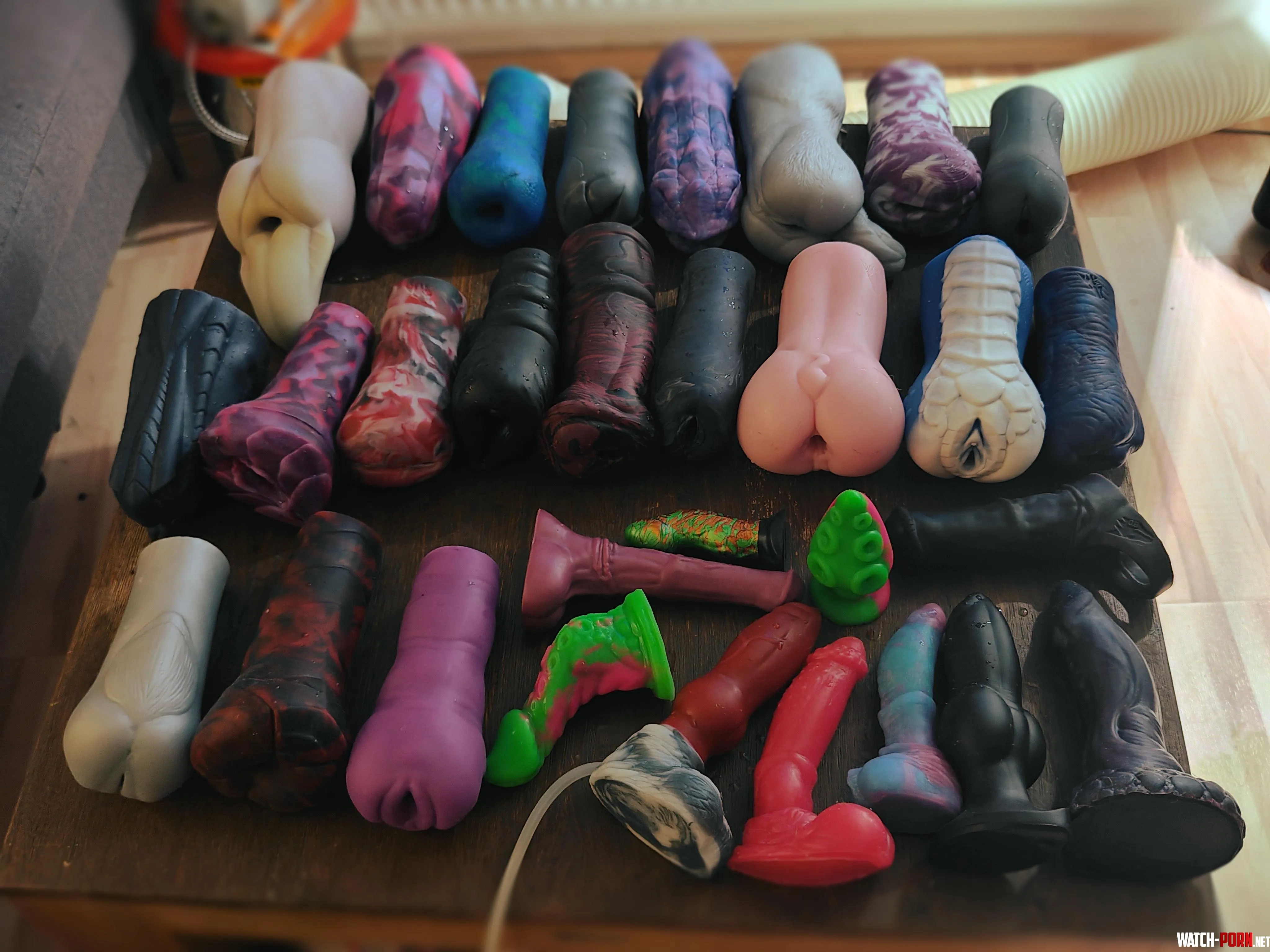 Family Photo after a cleaning session. I even ordered them by how much I like them. Starting at Nix and ending at sugerstar. by Zatyrio00