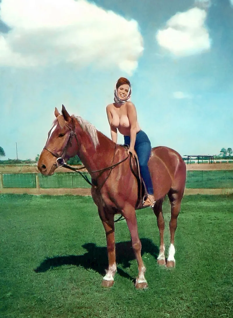 Thumbnail Christy Foushee Chronicles (1965) by bil_sabab | VintageSmut