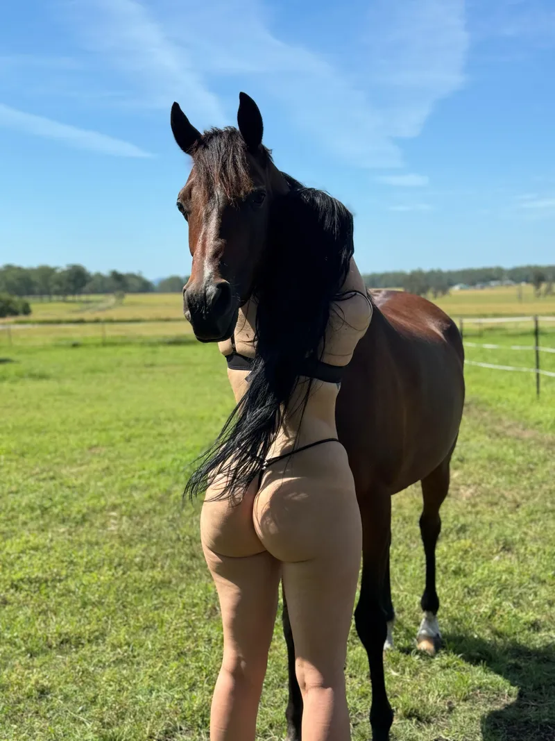 Thumbnail Save a horse … ride a cowboy by Charlotterose65_