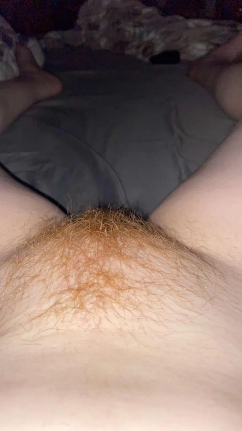 Thumbnail SC_Pineapples Channels Ginger Vibes with Ginger Kitty Portrait