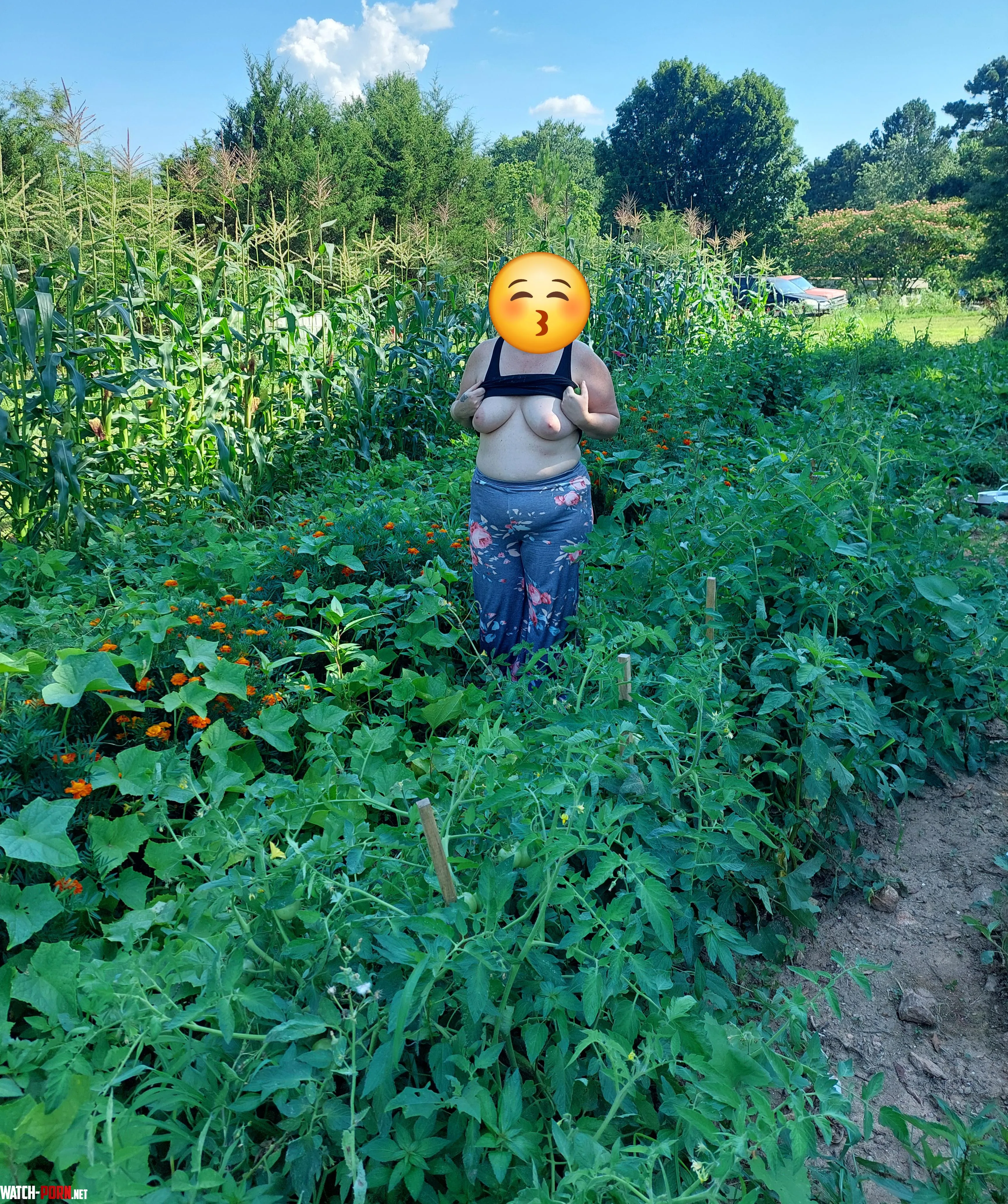 My husband told me to find myself, a freeuse farm hand.... by tequila-sin