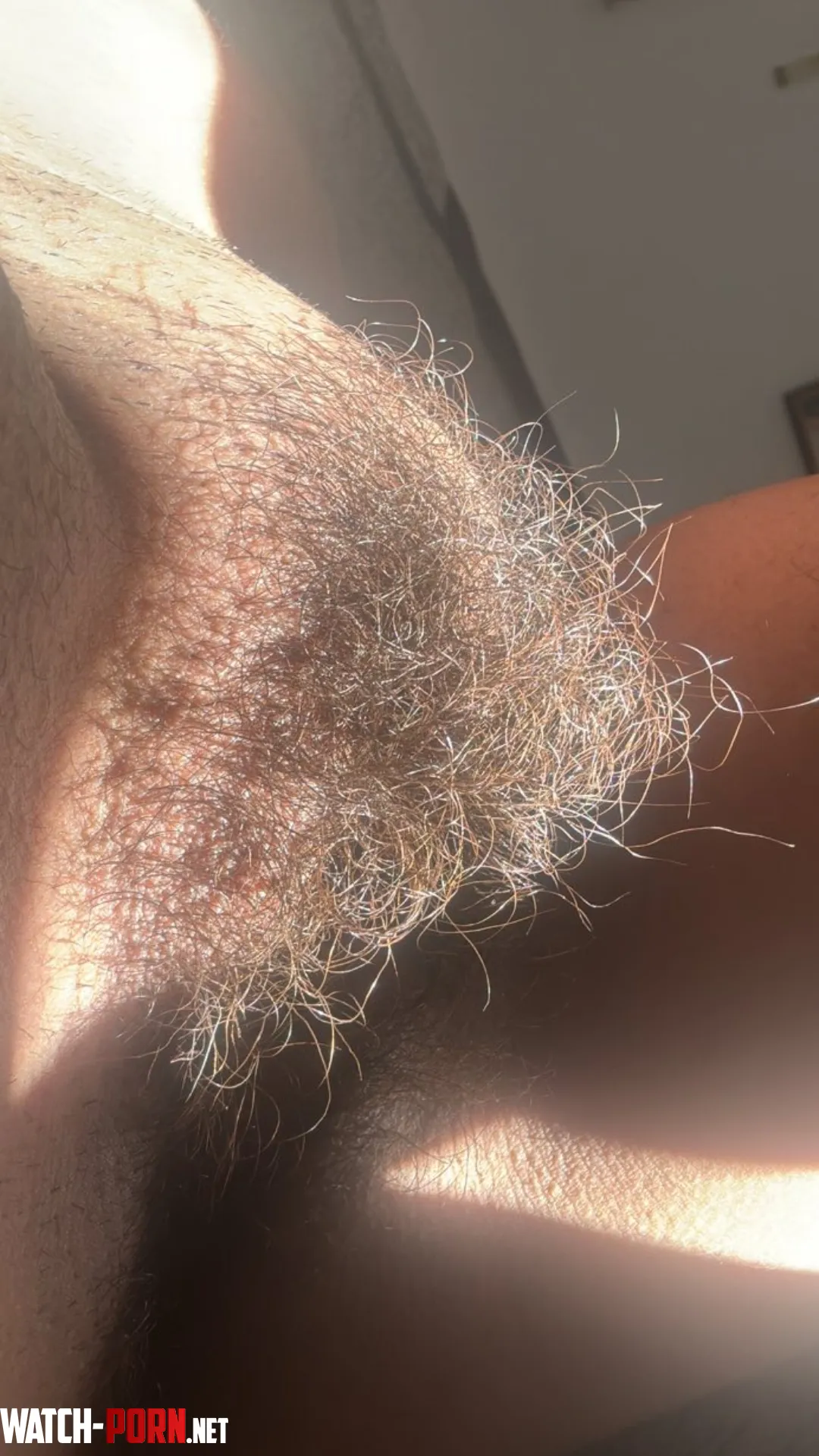 My bush is totally out of control at this point by lickedyslit