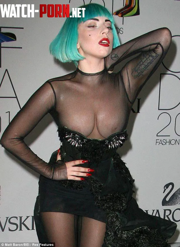 Lady Gaga by putitinmykundi