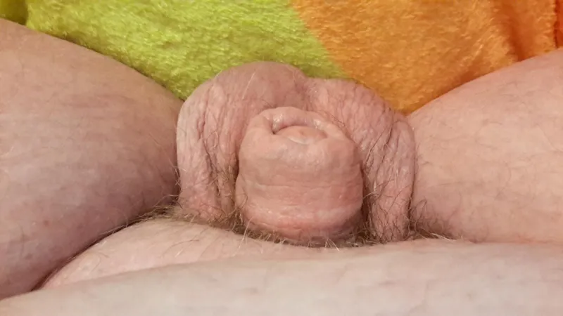 Thumbnail Exploring the Story Behind 'My Tiny Aussie Cock'